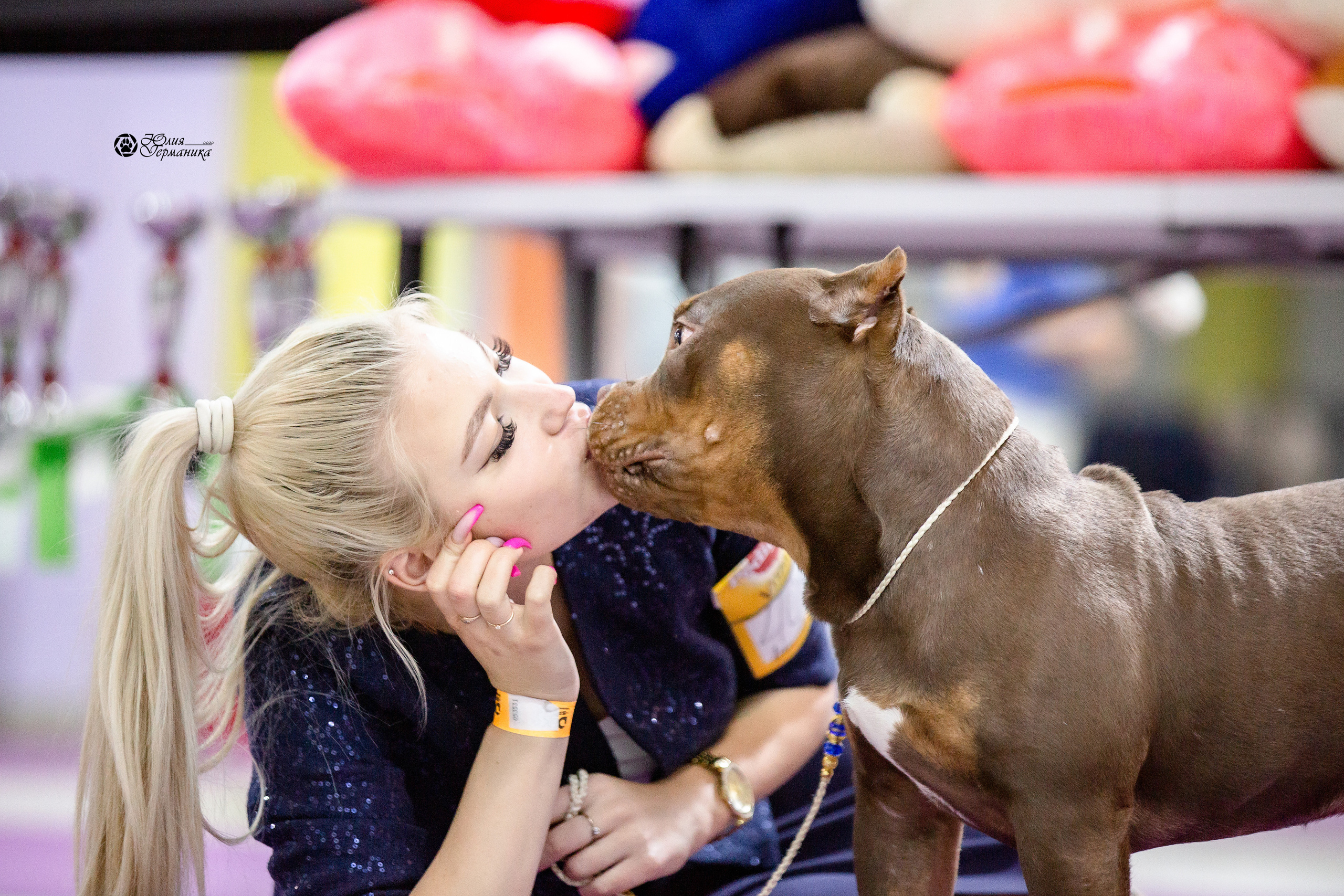 Чайна-Таун 29-30 января 2022. Фотограф-анималист Юлия Германика