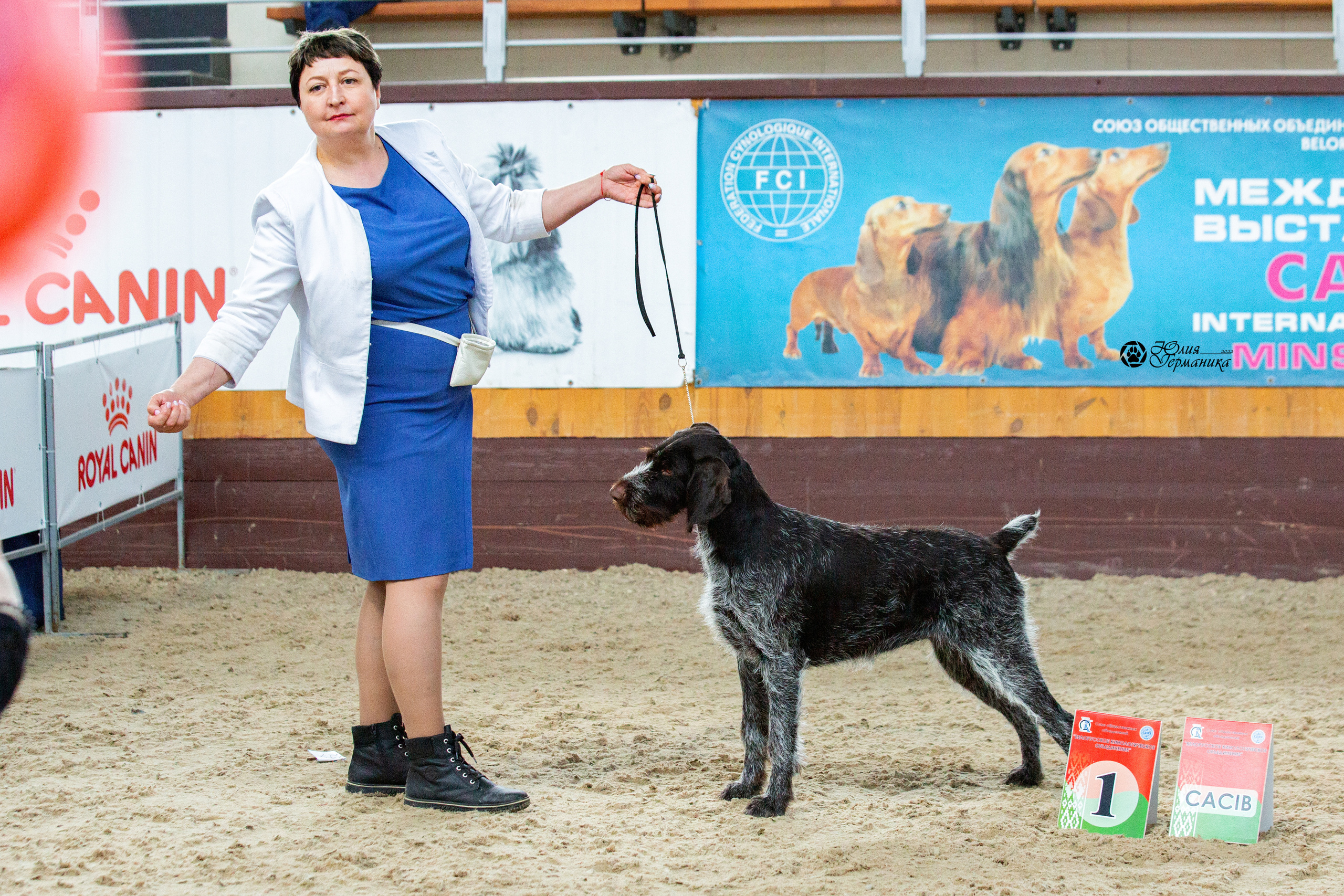 Минск 2хCACIB 5-6 марта 2022. Фотограф-анималист Юлия Германика