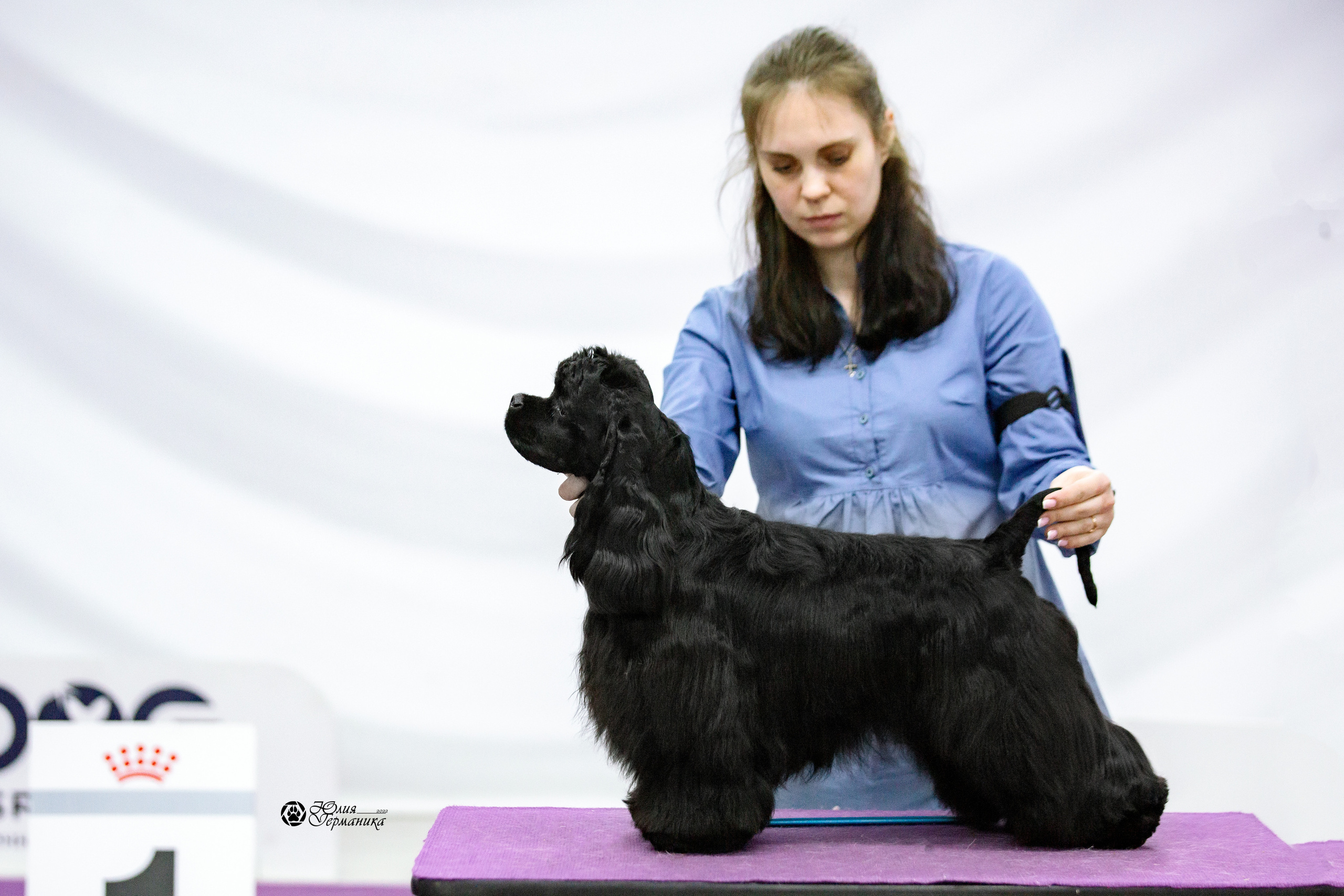 Чайна-Таун 13 и 20 марта 2022. Фотограф-анималист Юлия Германика