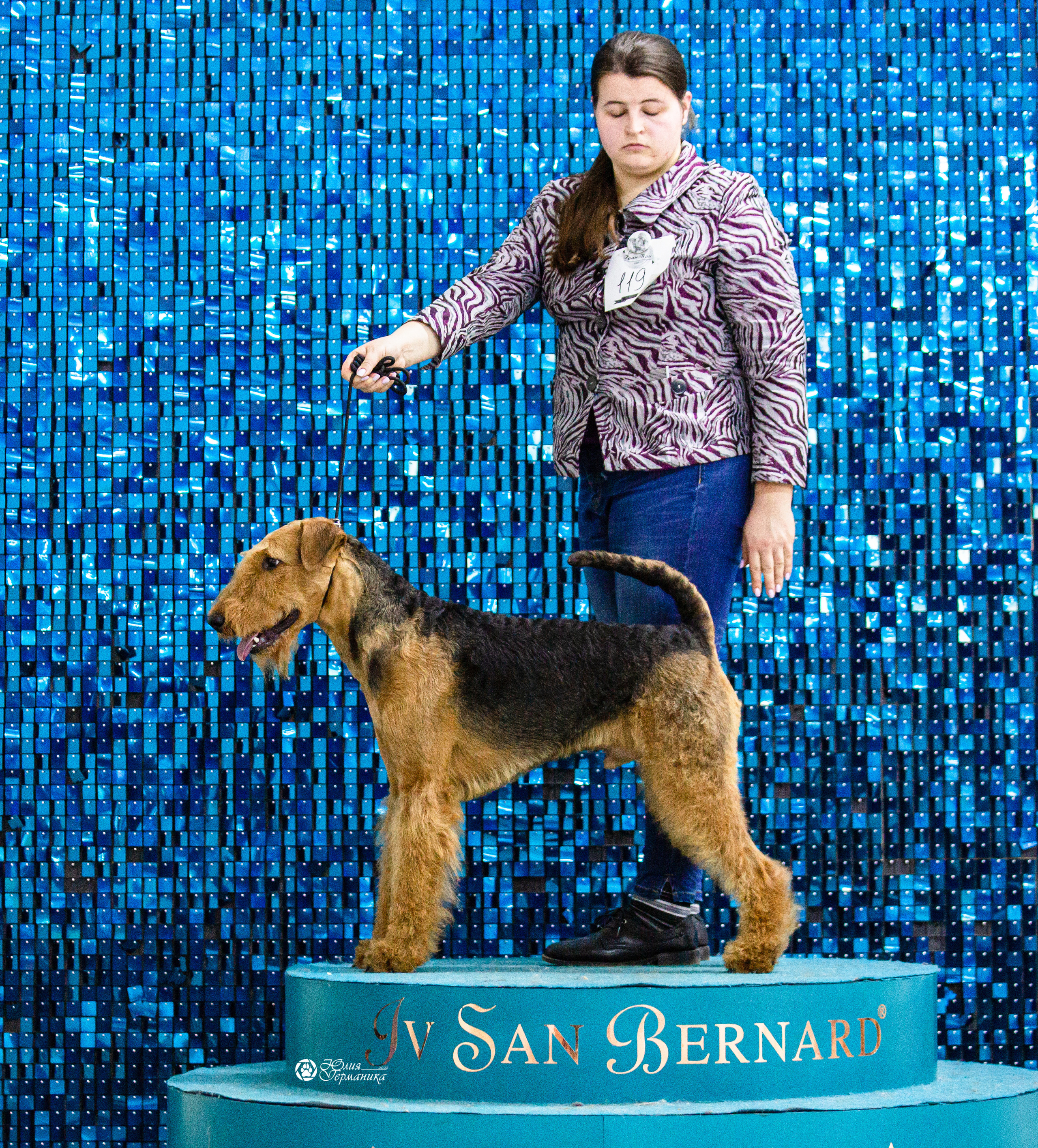 Чайна-Таун 12-13 февраля 2022. Фотограф-анималист Юлия Германика