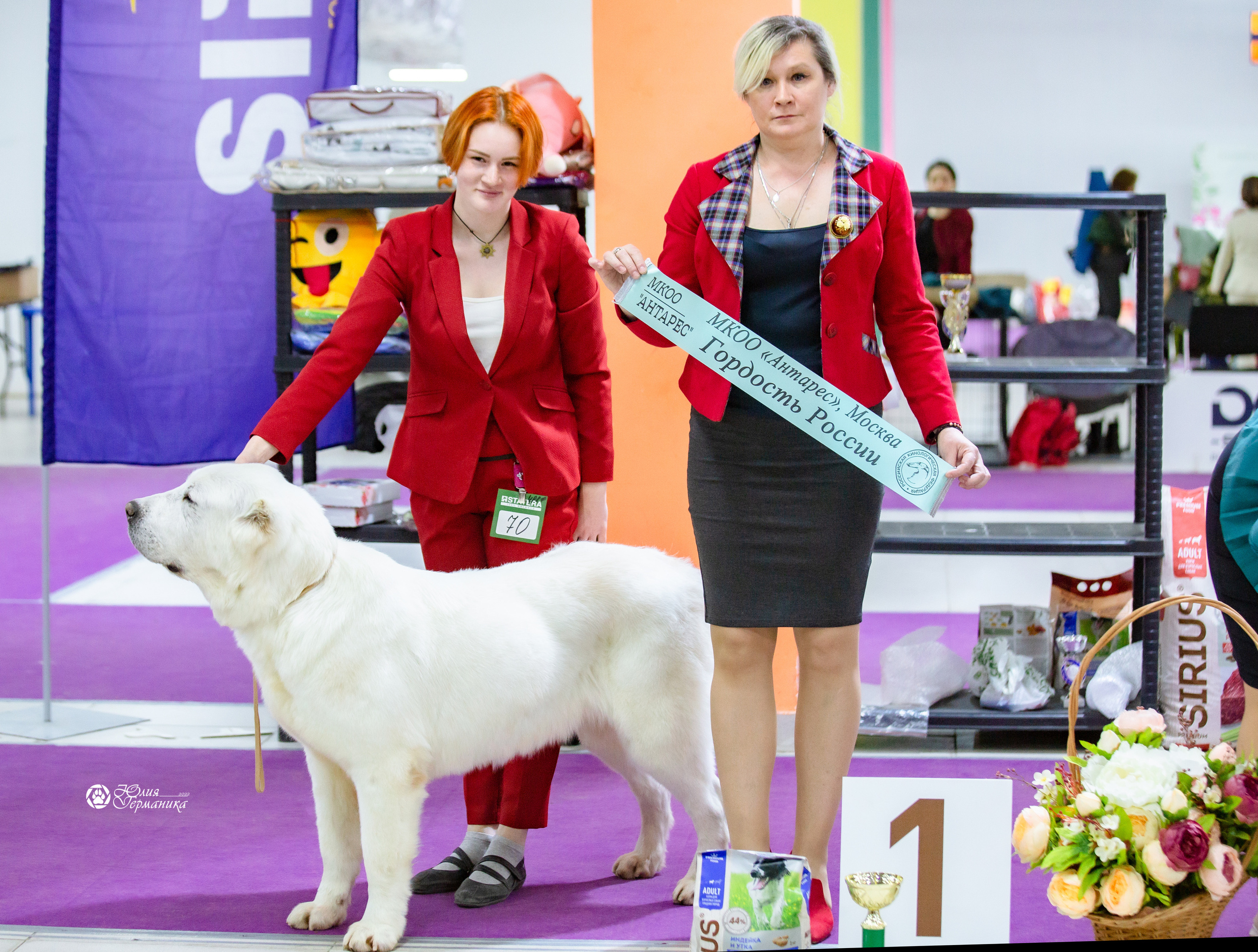 Чайна-Таун 13 и 20 марта 2022. Фотограф-анималист Юлия Германика