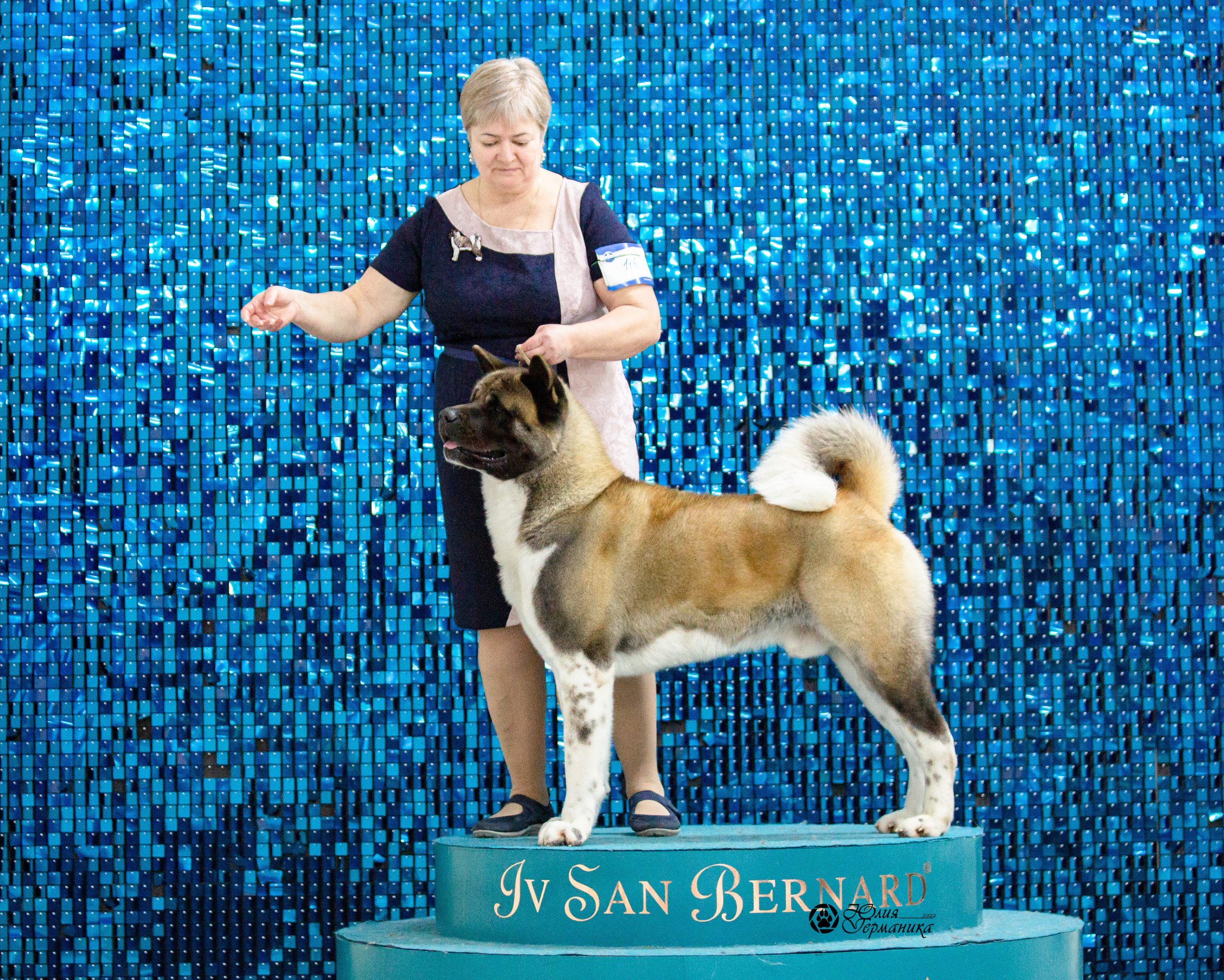 Чайна-Таун 29-30 января 2022. Фотограф-анималист Юлия Германика