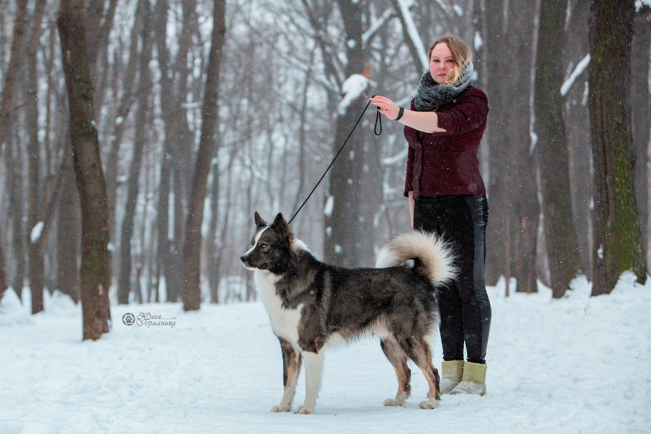 Свободная съемка. Фотограф-анималист Юлия Германика