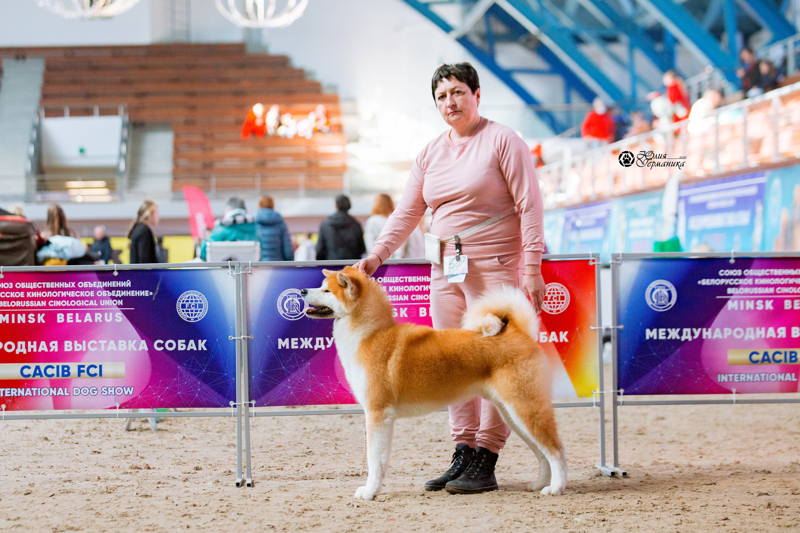 Минск 2хCACIB 5-6 марта 2022. Фотограф-анималист Юлия Германика