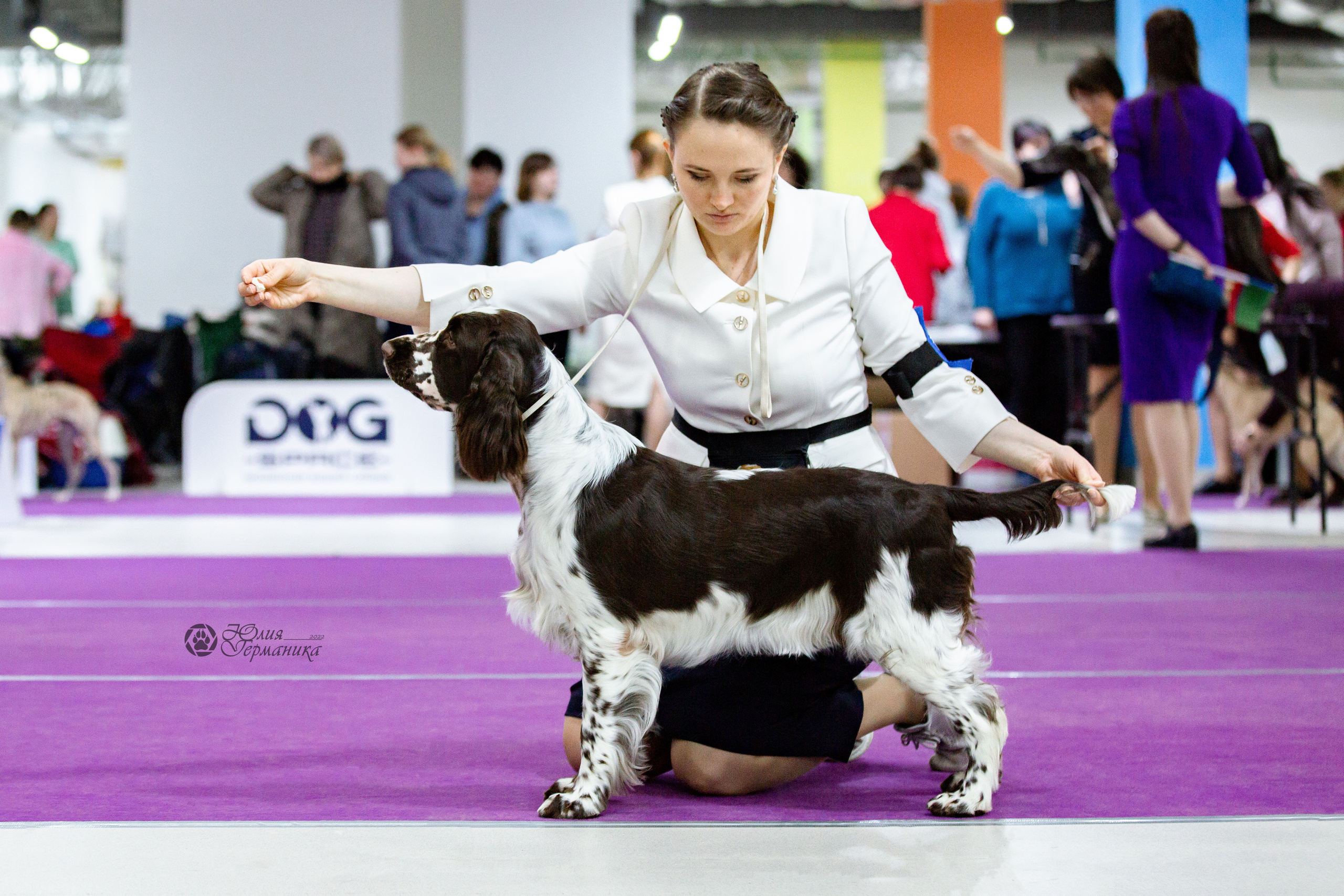 Чайна-Таун 24 и 27 марта 2022. Фотограф-анималист Юлия Германика