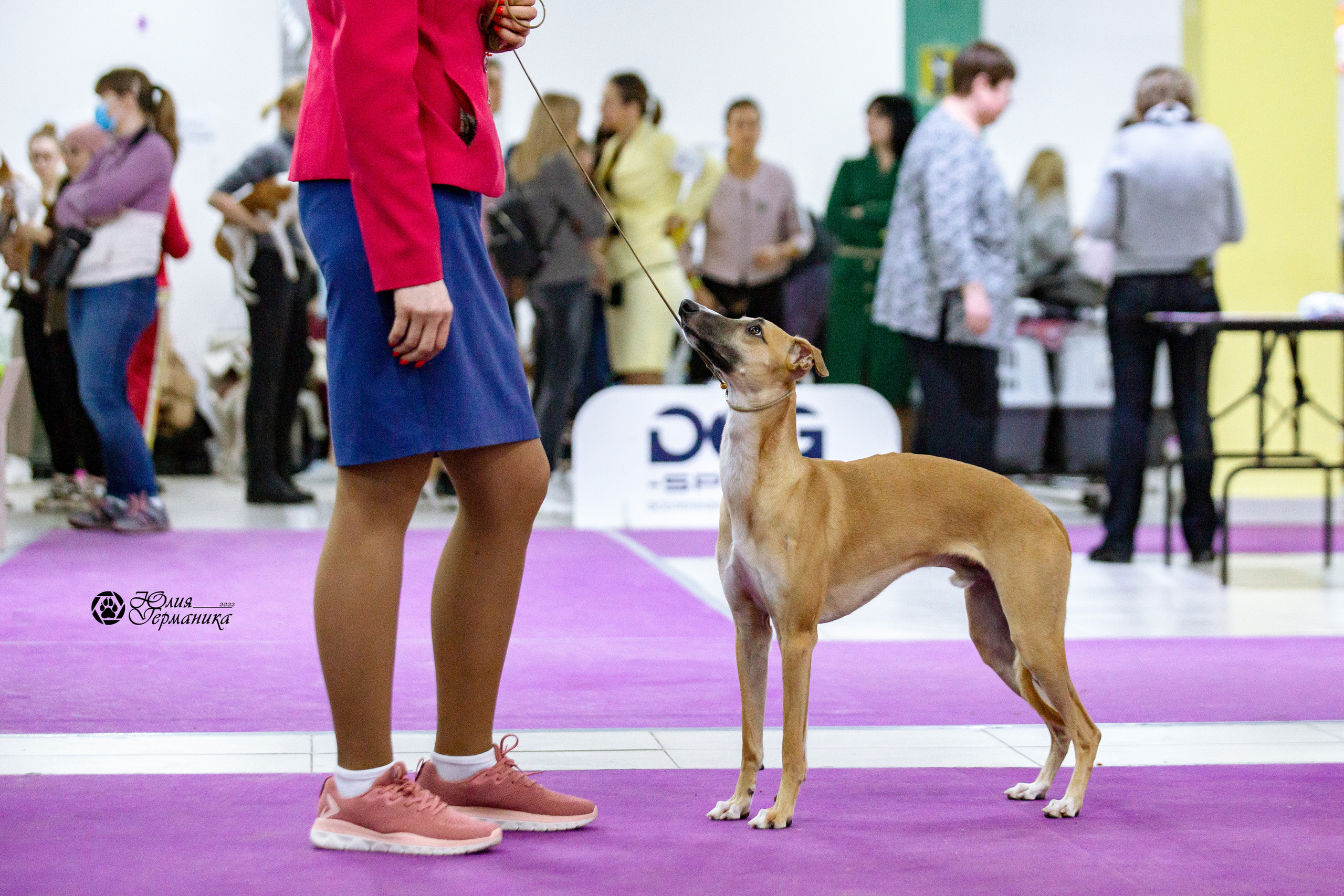 Чайна-Таун 13 и 20 марта 2022. Фотограф-анималист Юлия Германика