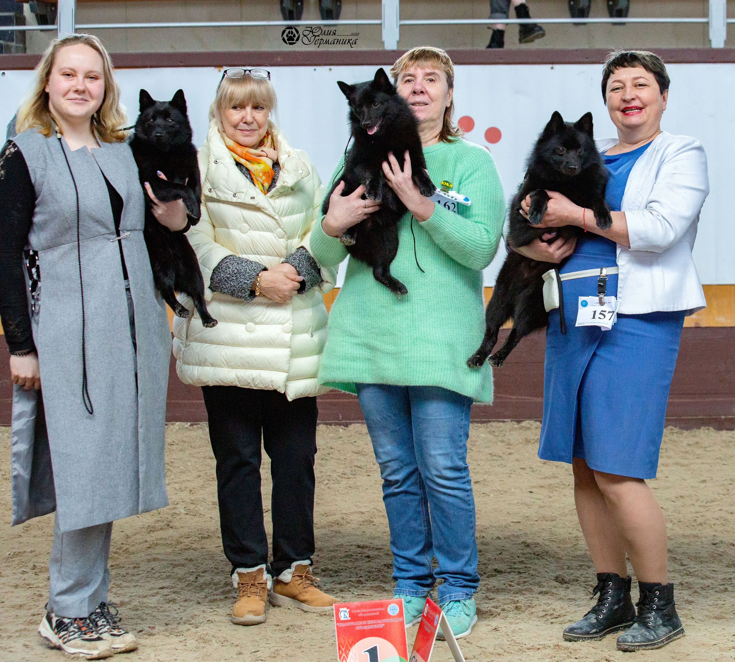 Минск 2хCACIB 5-6 марта 2022. Фотограф-анималист Юлия Германика