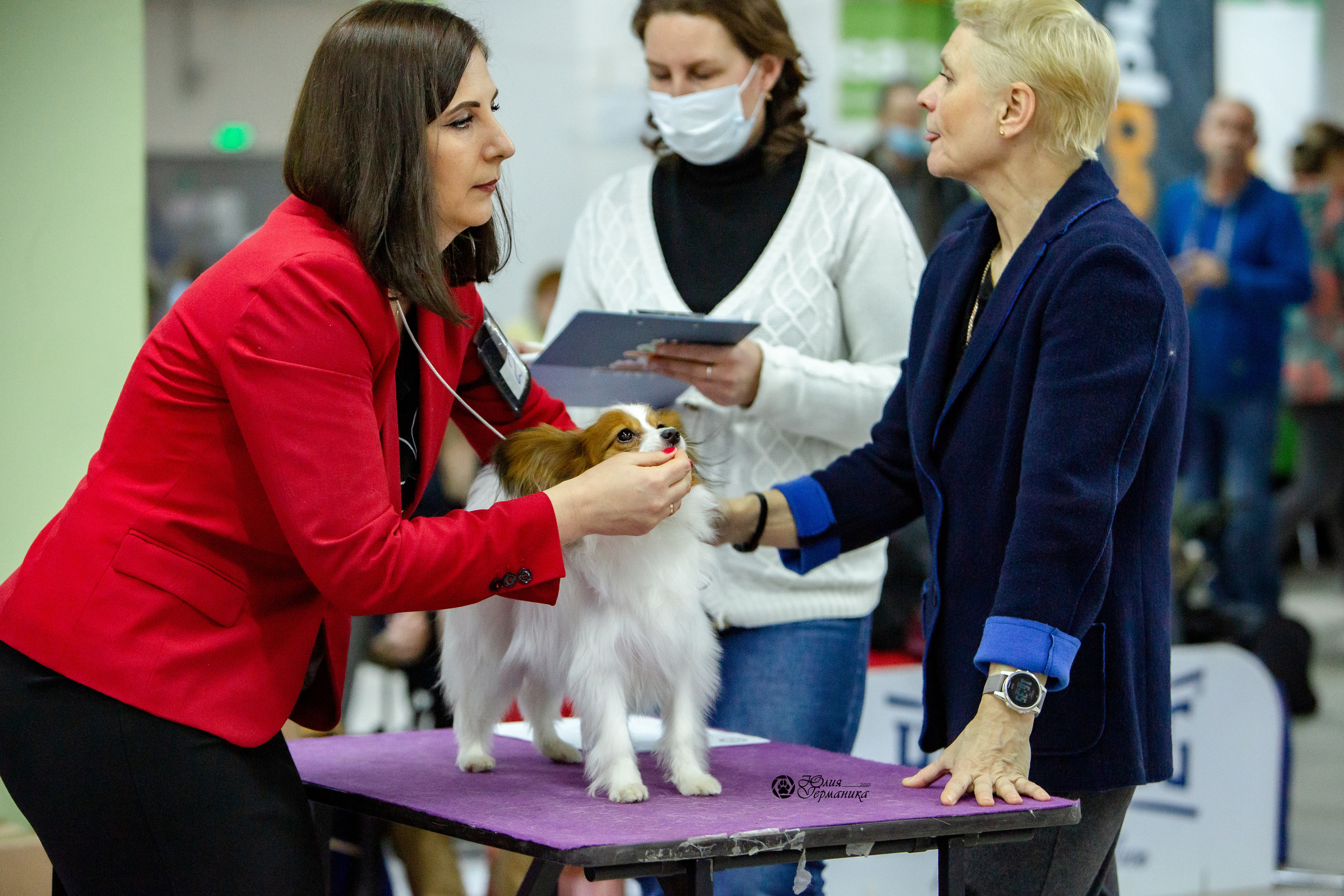 Чайна-Таун 8 января 2022. Фотограф-анималист Юлия Германика