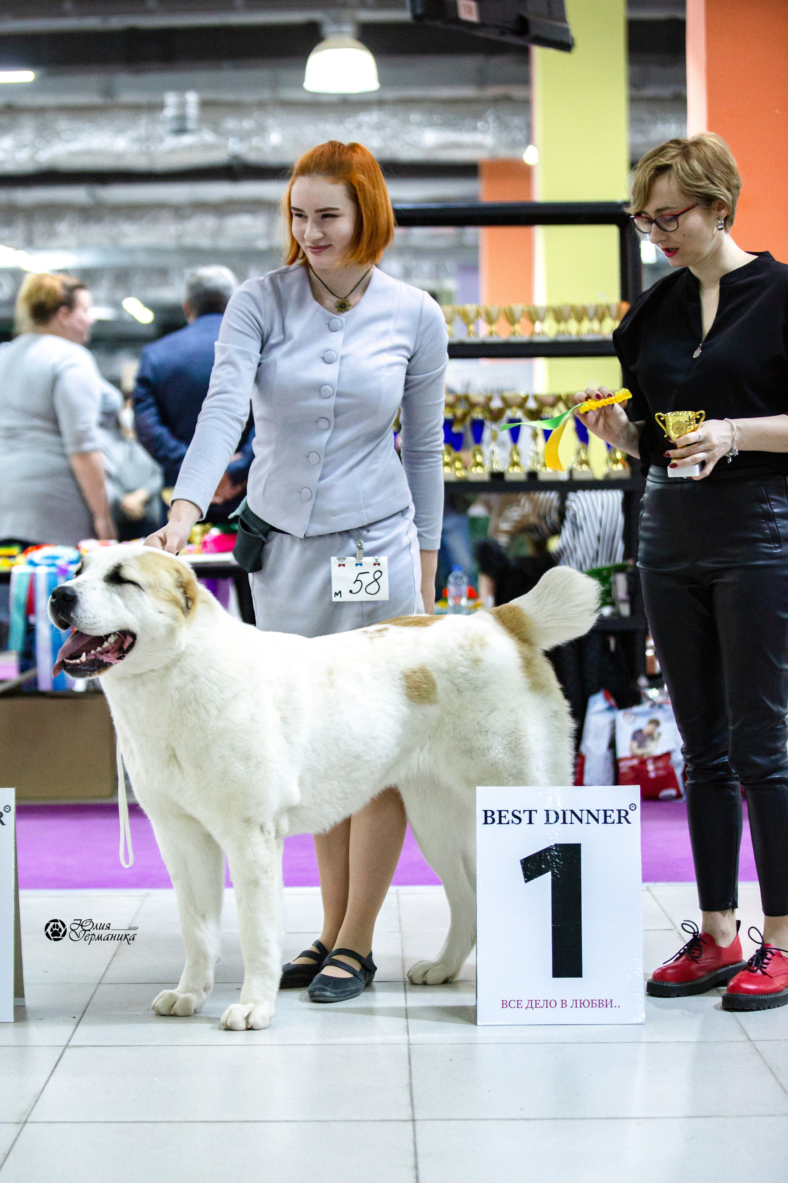 Чайна-Таун 12-13 февраля 2022. Фотограф-анималист Юлия Германика