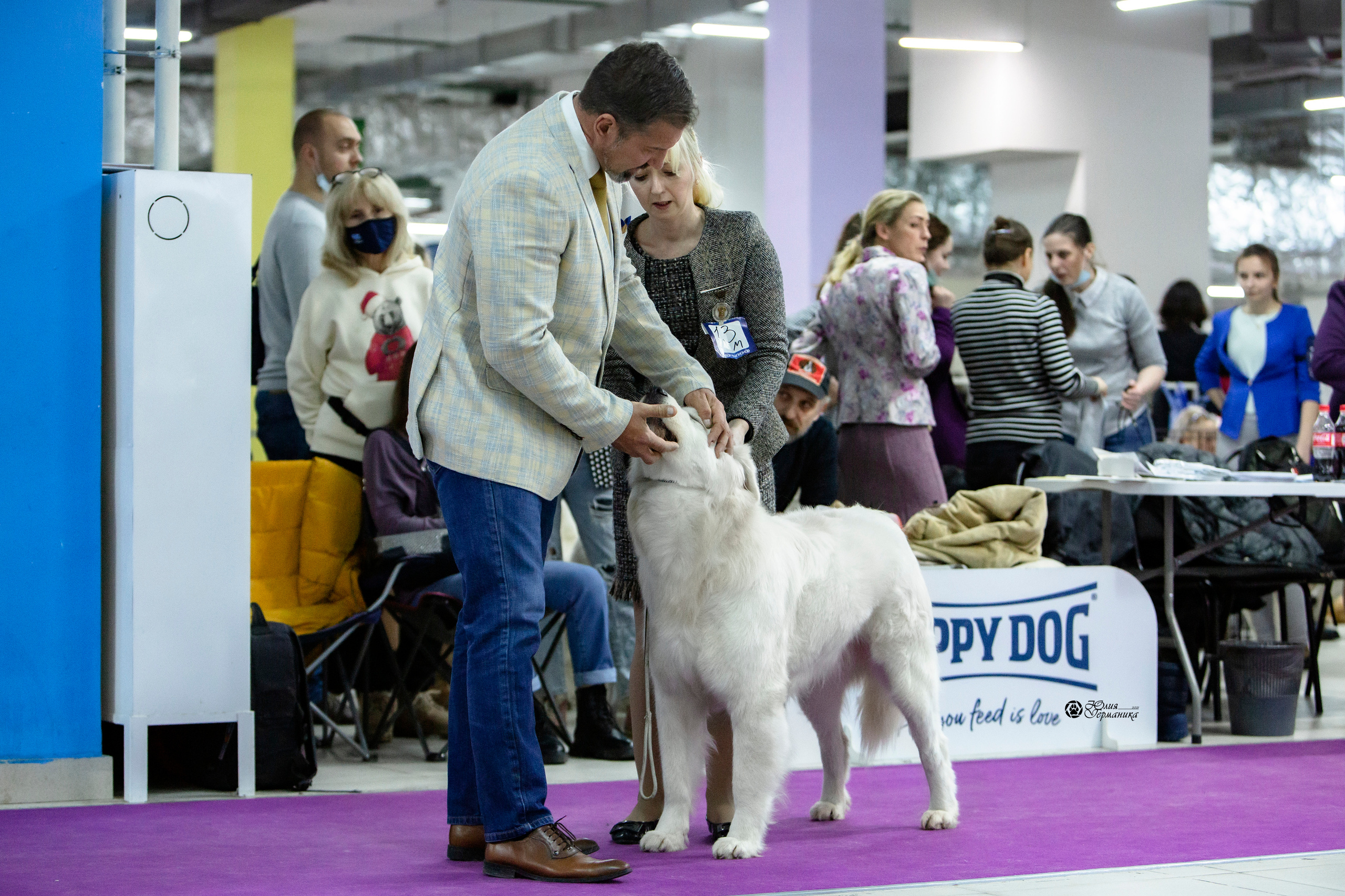 Чайна-Таун 18,26 и 29 декабря 2021. Фотограф-анималист Юлия Германика
