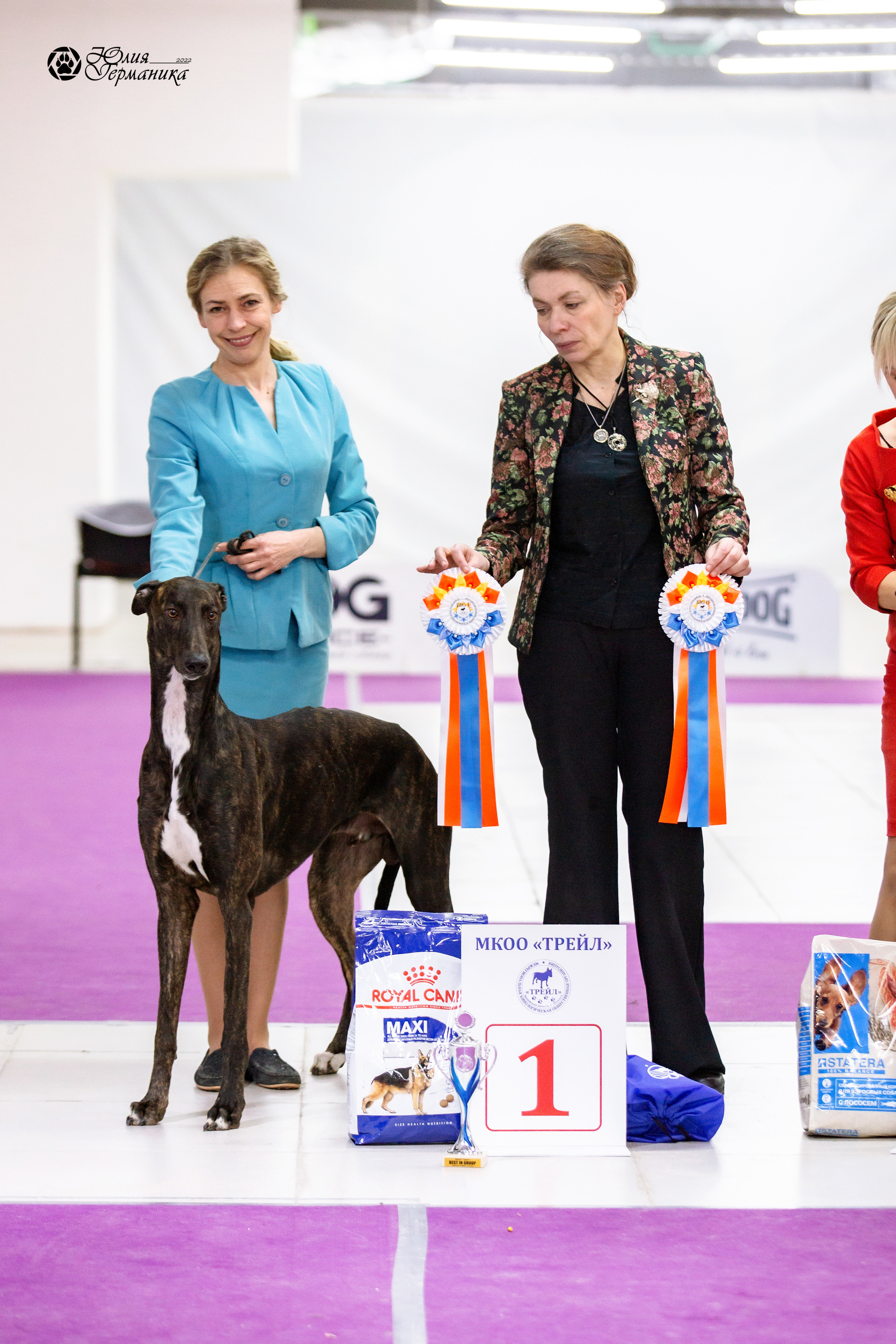 Чайна-Таун 27 февраля 2022. Фотограф-анималист Юлия Германика