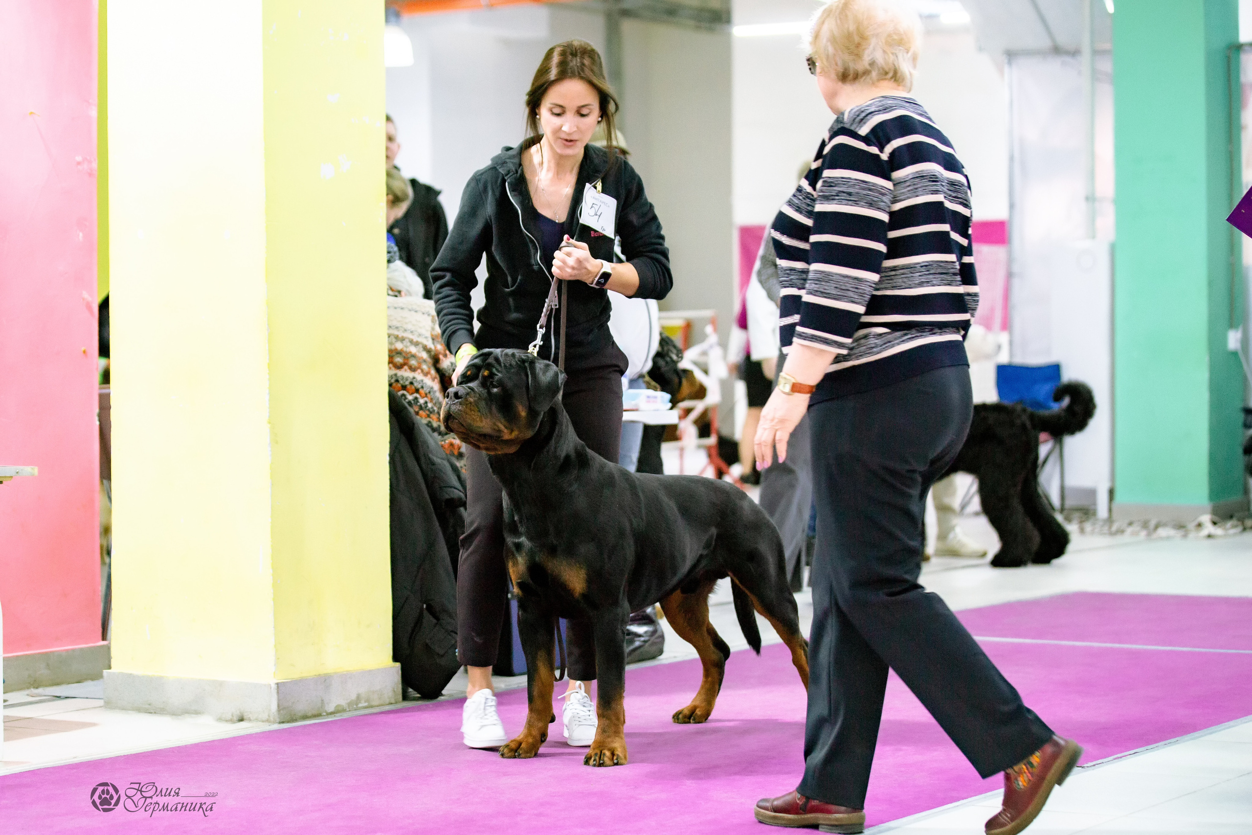 Чайна-Таун 13 и 20 марта 2022. Фотограф-анималист Юлия Германика