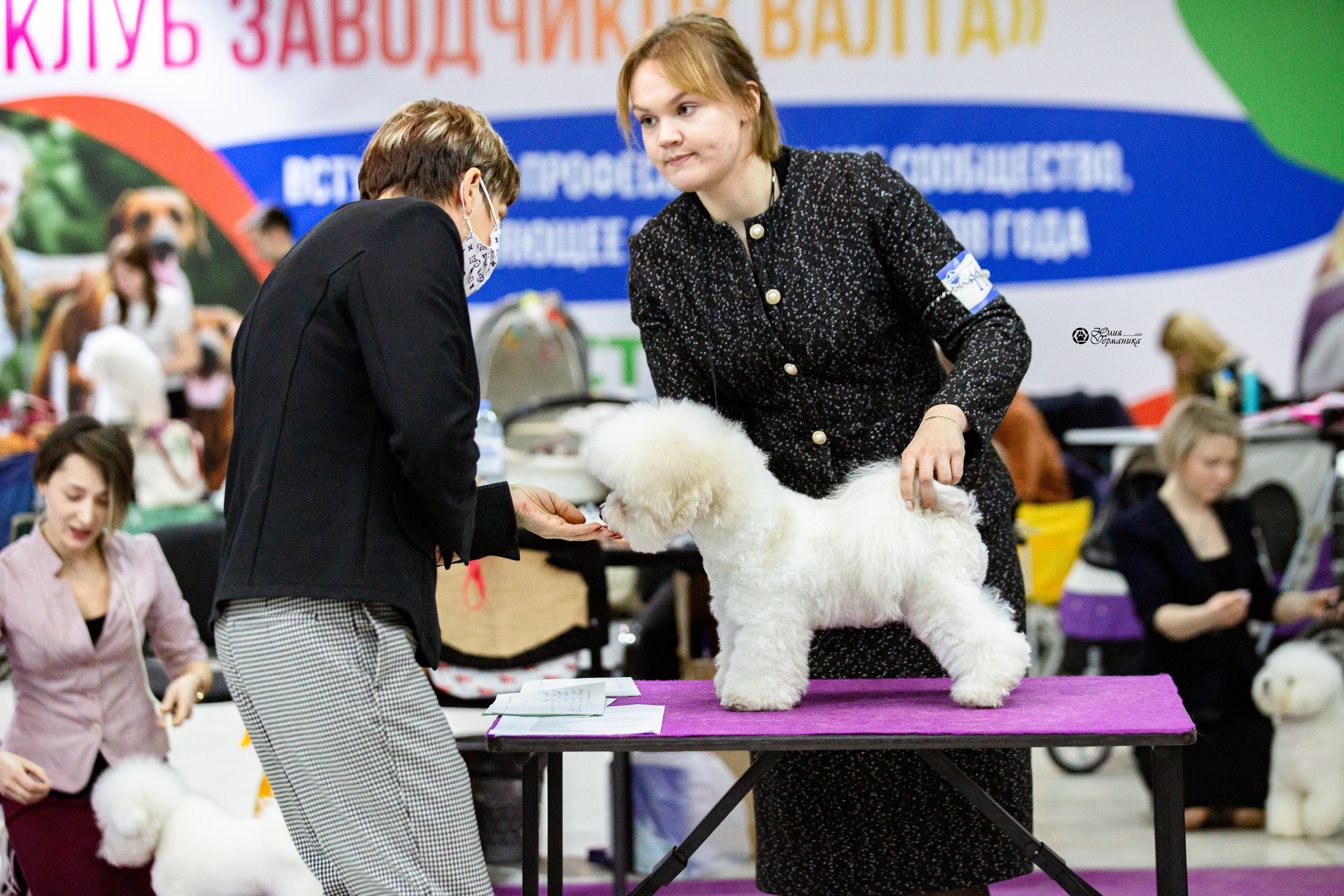 Чайна-Таун 12-13 февраля 2022. Фотограф-анималист Юлия Германика