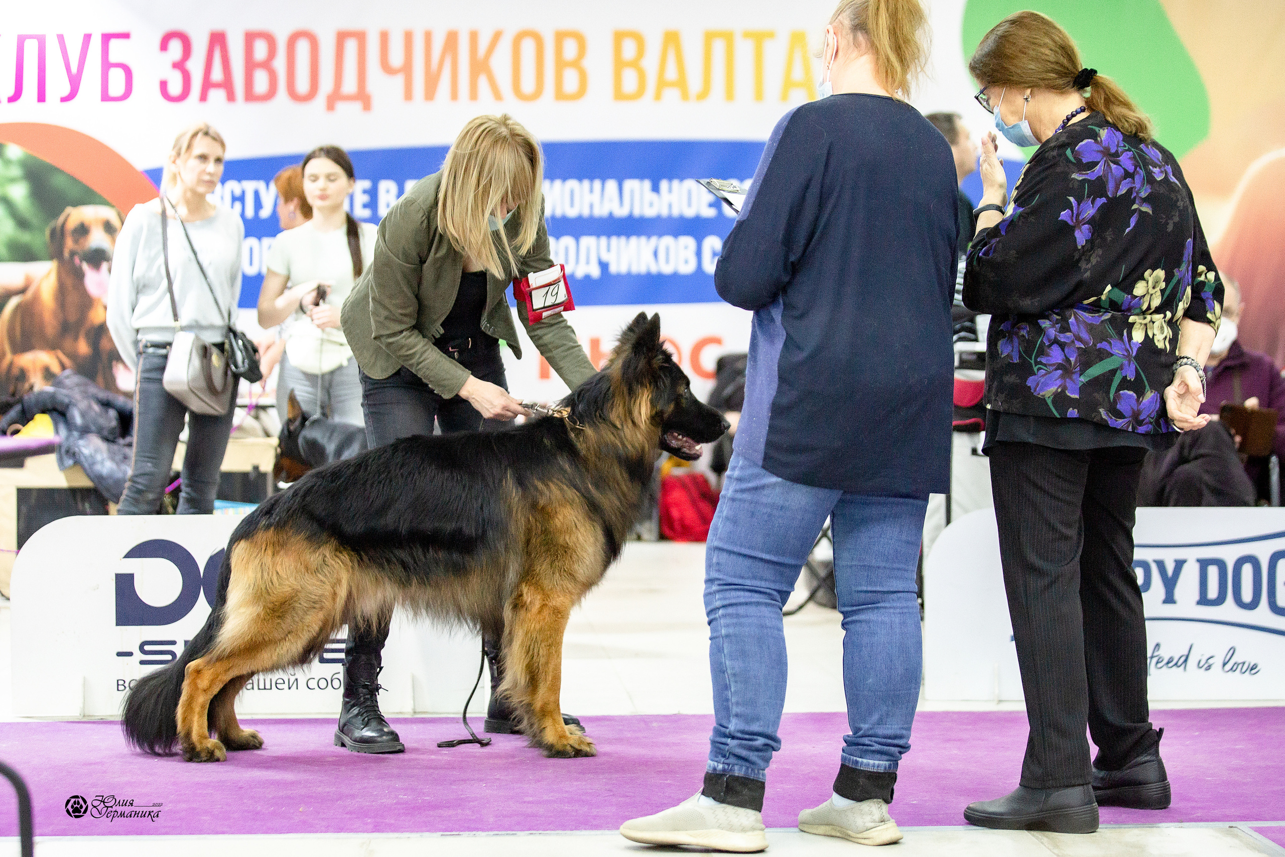 Чайна-Таун 29-30 января 2022. Фотограф-анималист Юлия Германика