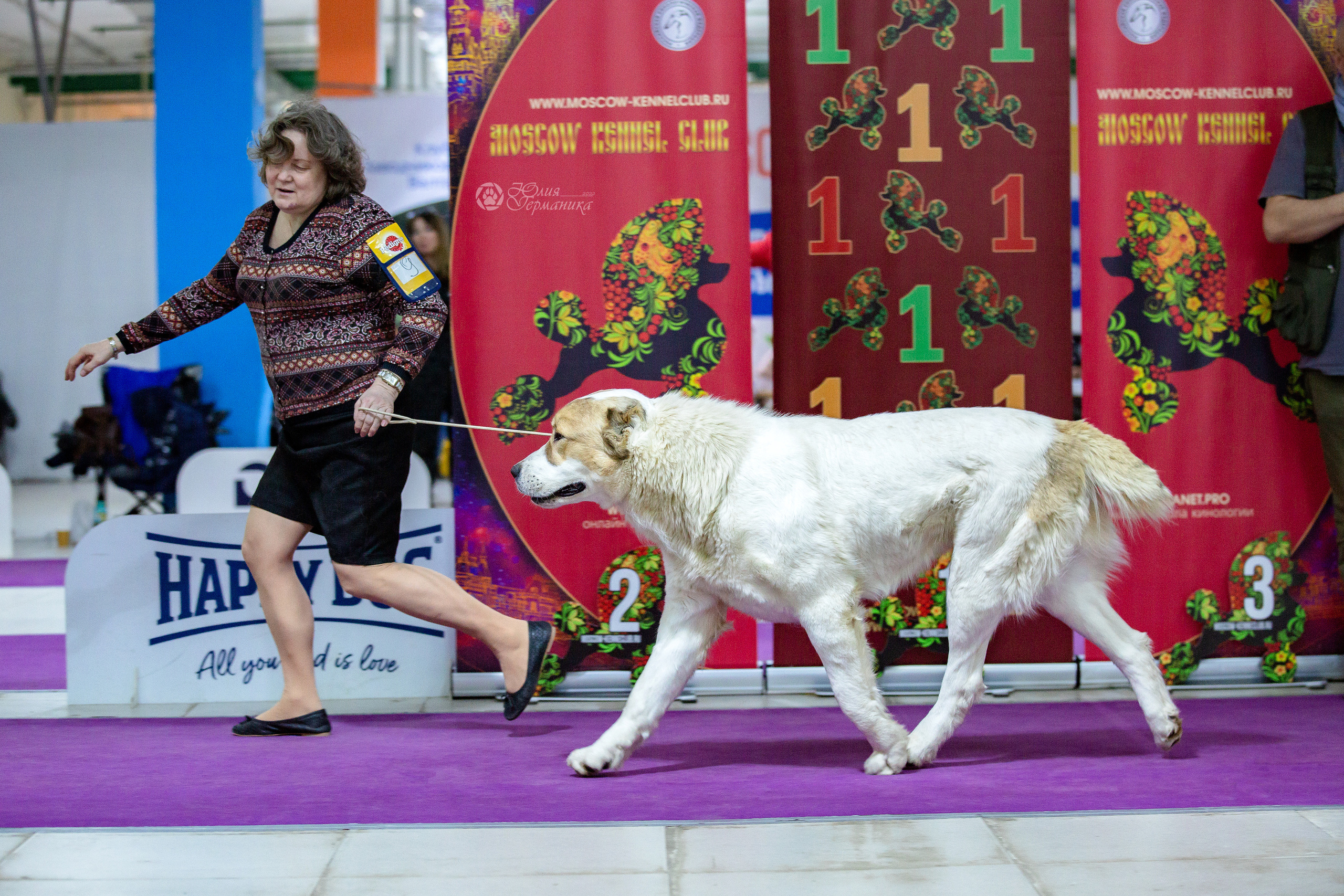 Чайна-Таун 24 и 27 марта 2022. Фотограф-анималист Юлия Германика