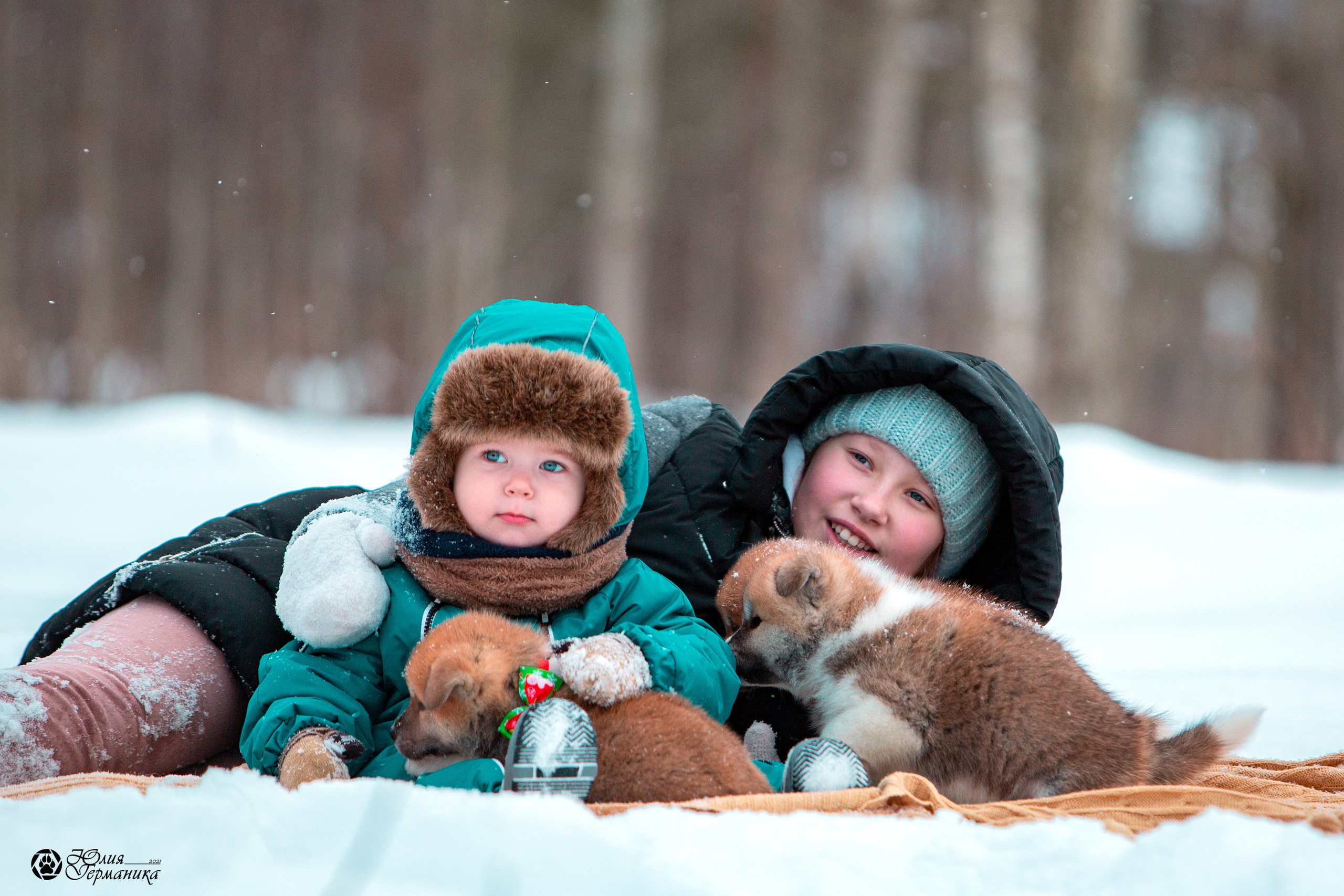 Свободная съемка. Фотограф-анималист Юлия Германика