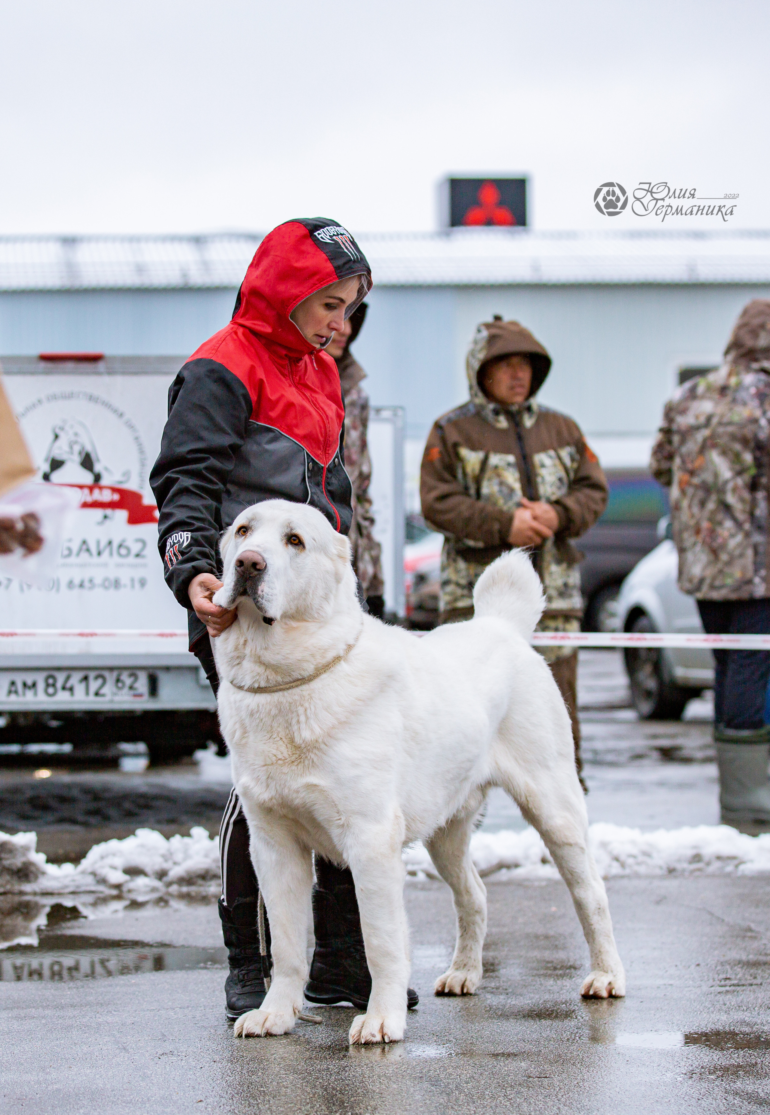 2хМОНО САО Рязань 02 апреля 2022. Фотограф-анималист Юлия Германика