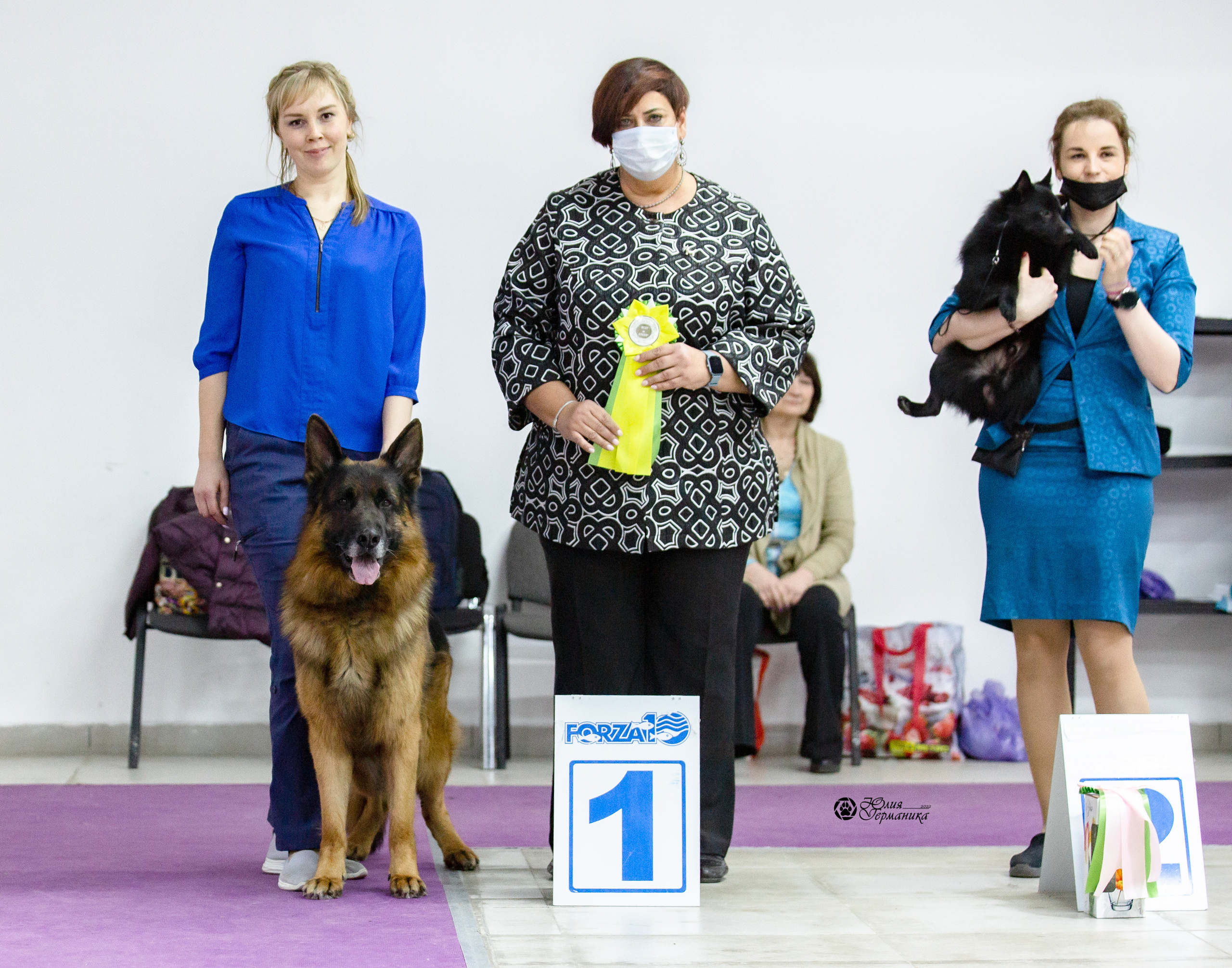 Чайна-Таун 12-13 февраля 2022. Фотограф-анималист Юлия Германика