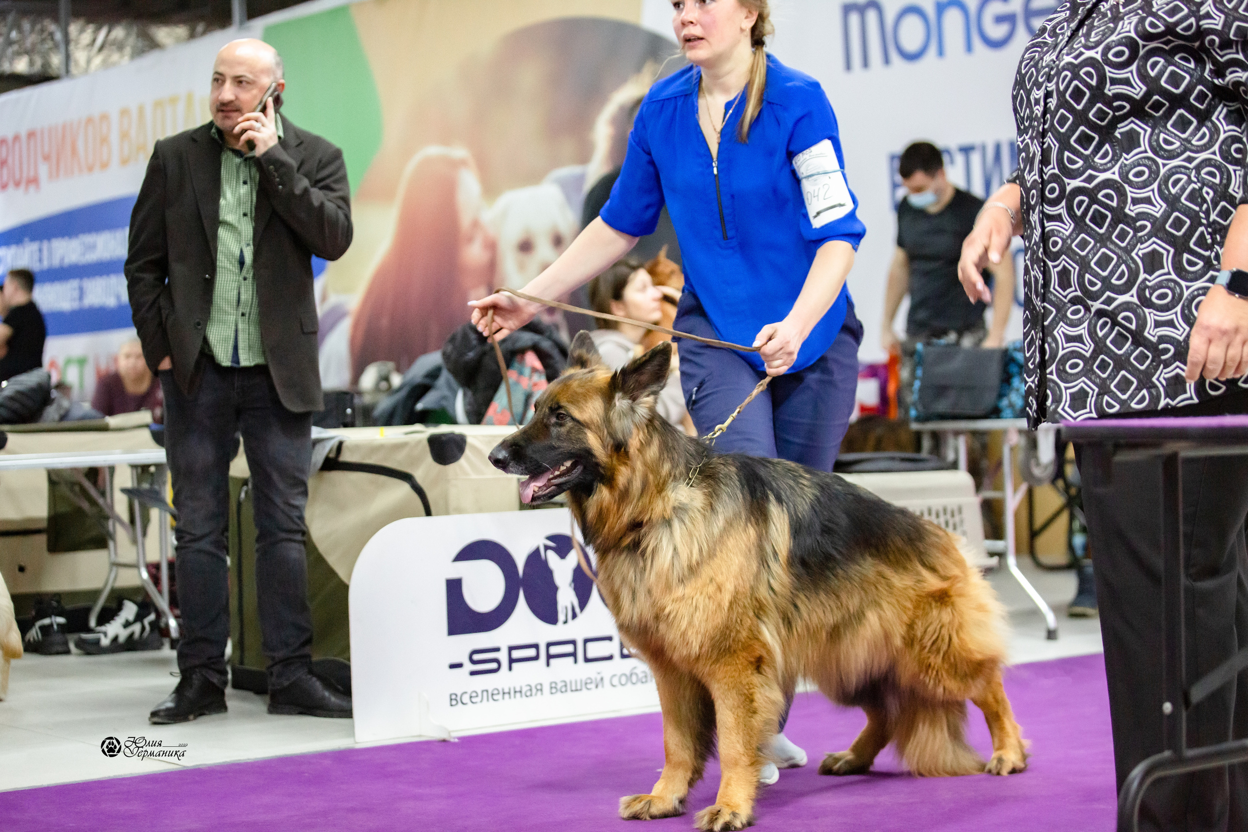 Чайна-Таун 12-13 февраля 2022. Фотограф-анималист Юлия Германика