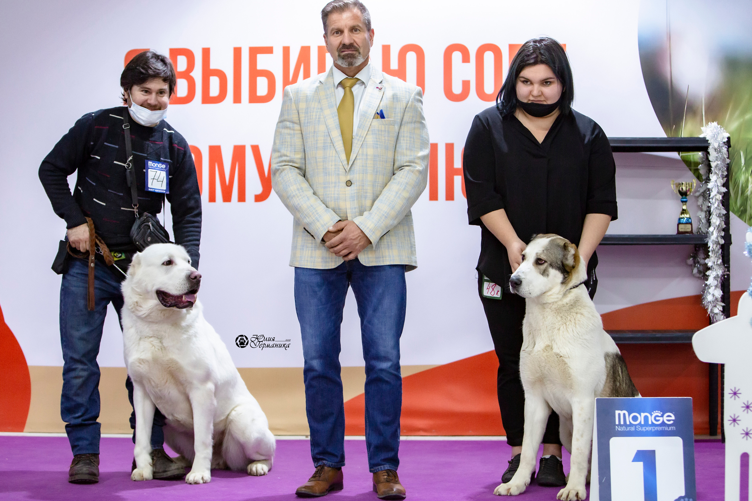 Чайна-Таун 18,26 и 29 декабря 2021. Фотограф-анималист Юлия Германика