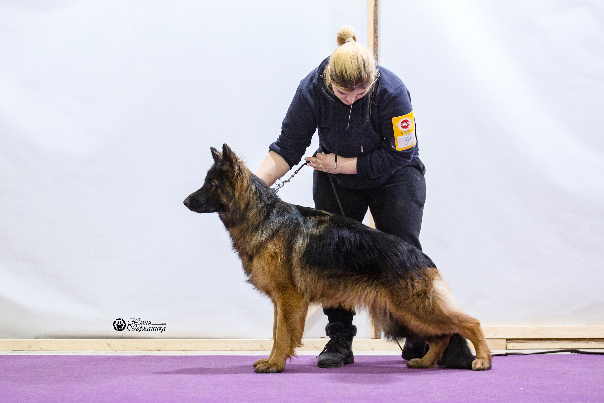 Чайна-Таун 12-13 февраля 2022. Фотограф-анималист Юлия Германика