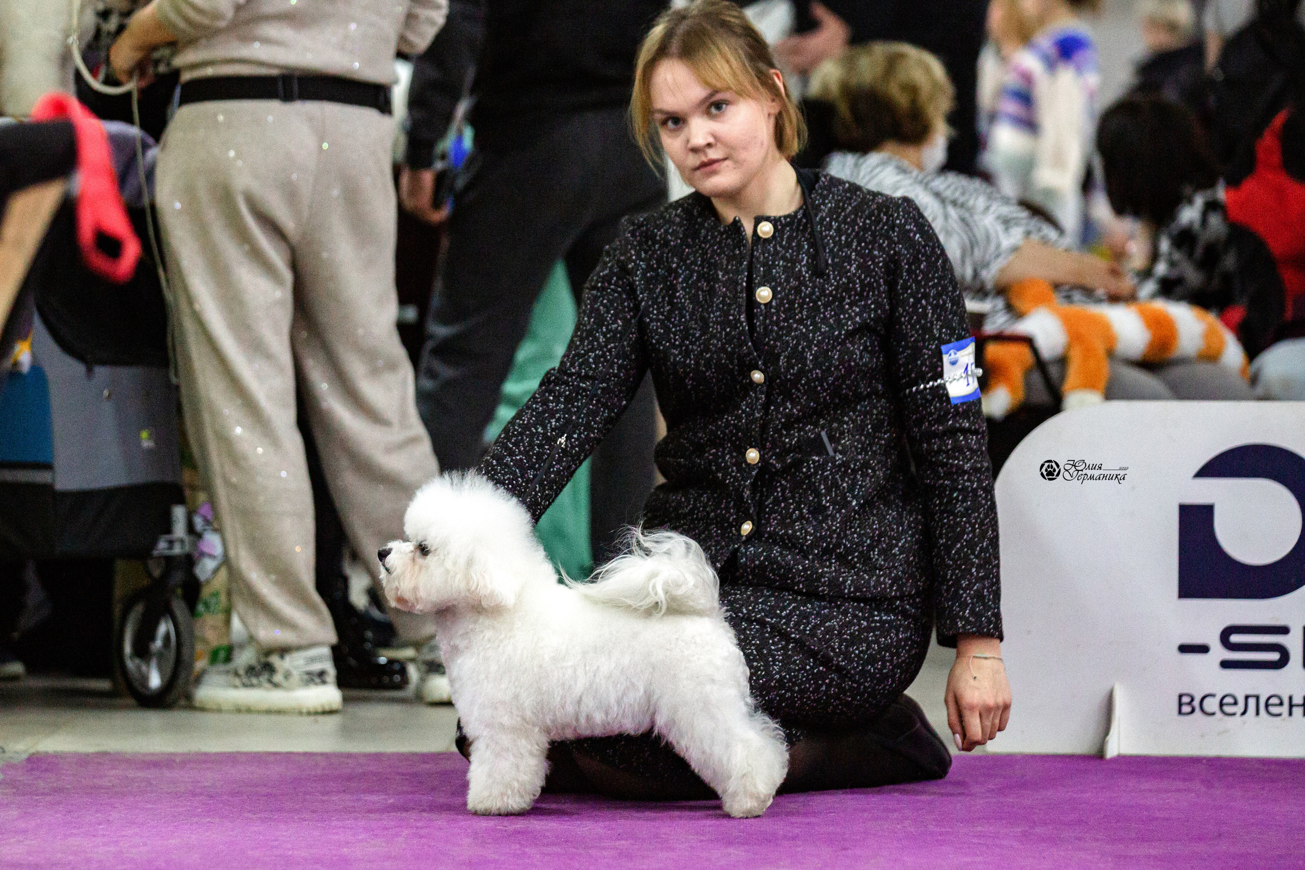 Чайна-Таун 12-13 февраля 2022. Фотограф-анималист Юлия Германика