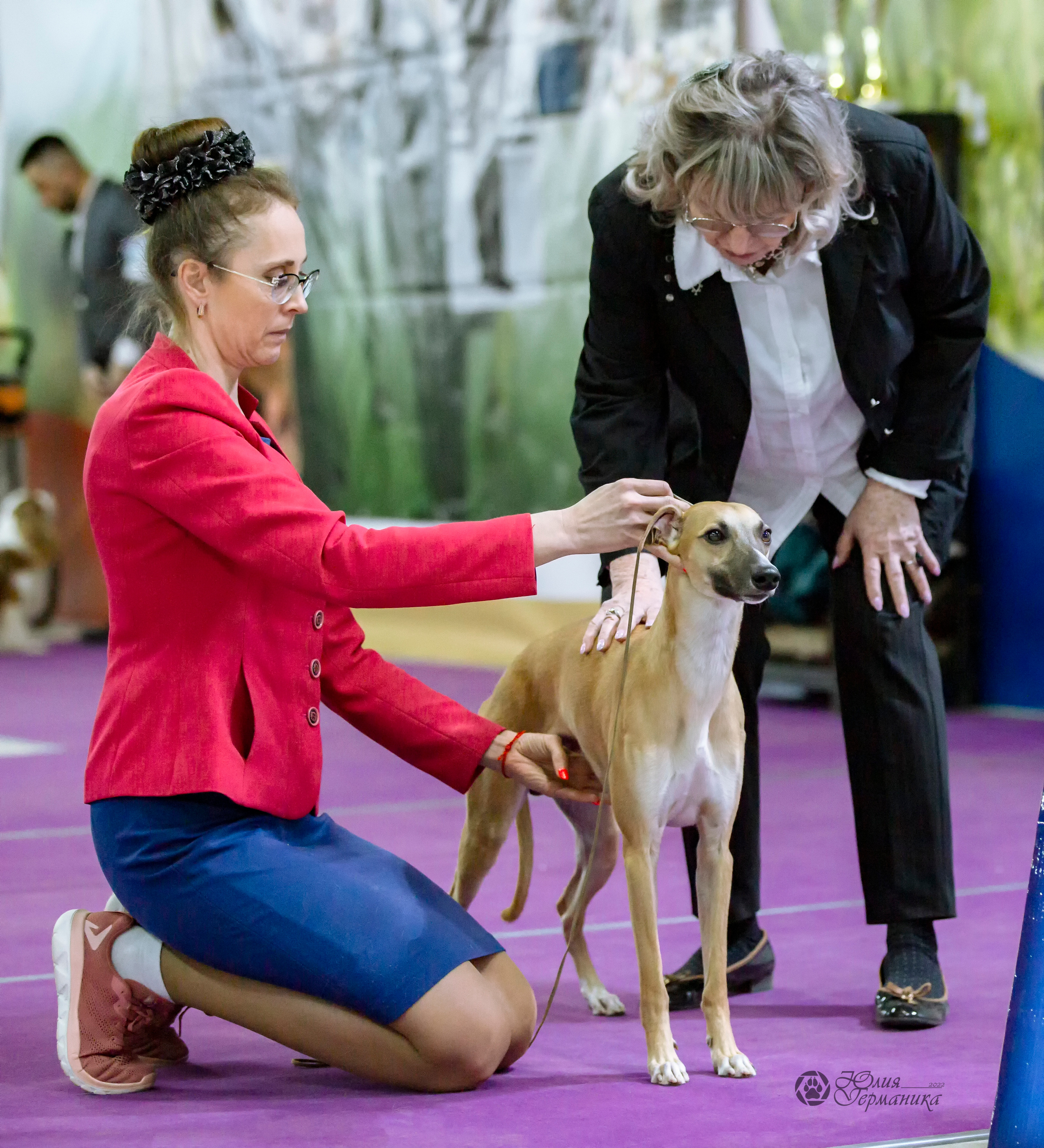 Чайна-Таун 24 и 27 марта 2022. Фотограф-анималист Юлия Германика