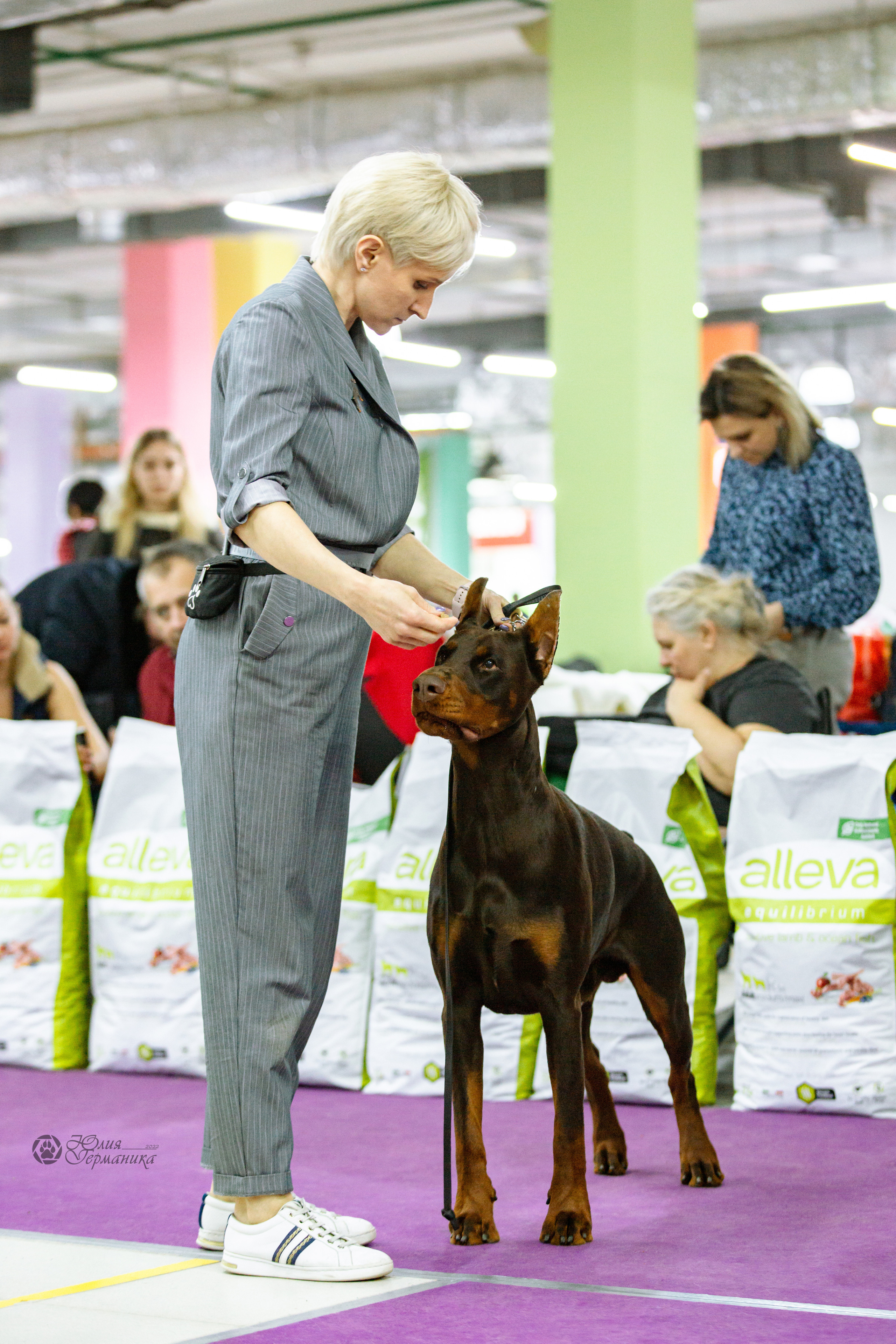 Чайна-Таун ПК Доберманов  3 апреля 2022. Фотограф-анималист Юлия Германика