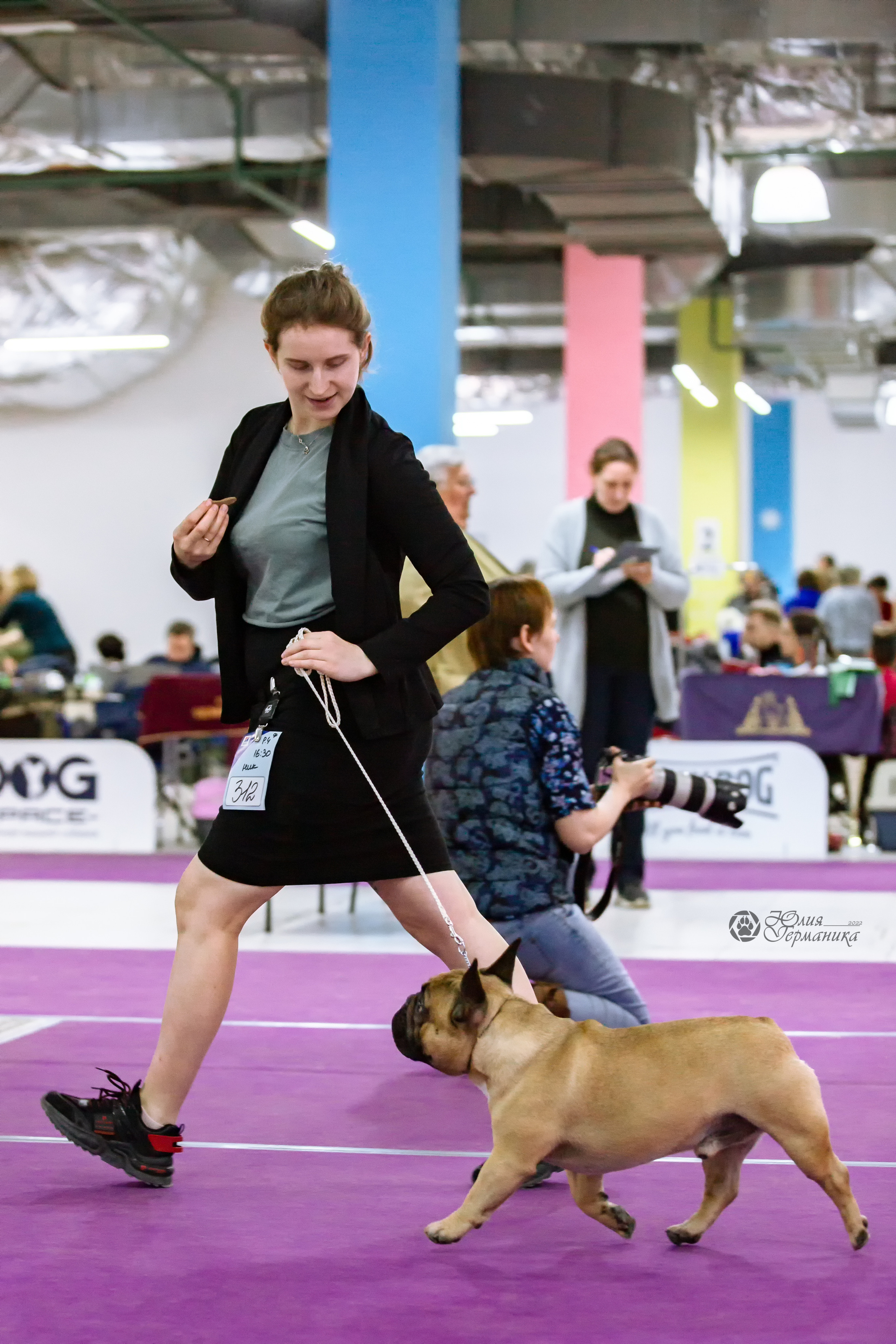 Чайна-Таун 24 и 27 марта 2022. Фотограф-анималист Юлия Германика