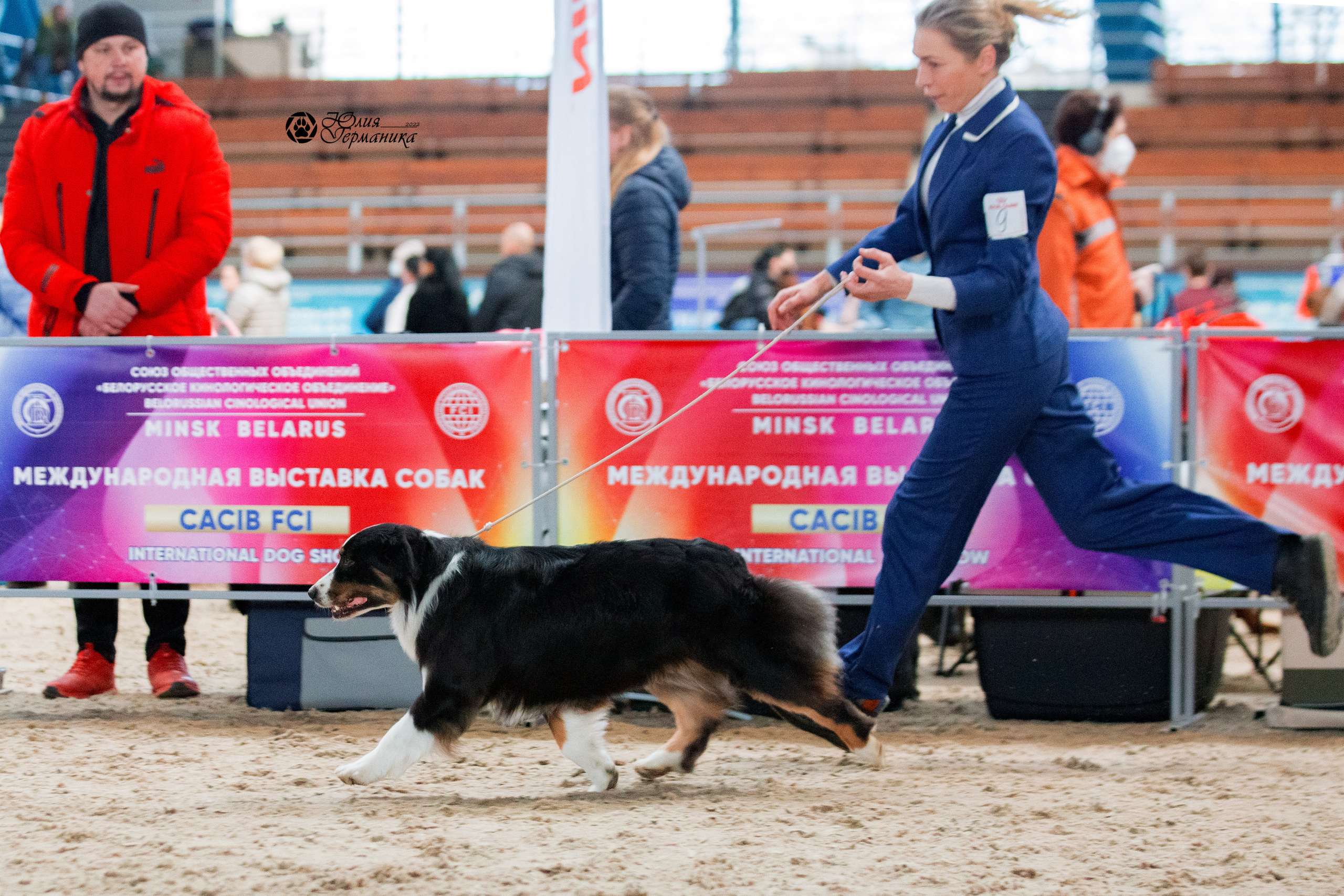 Минск 2хCACIB 5-6 марта 2022. Фотограф-анималист Юлия Германика