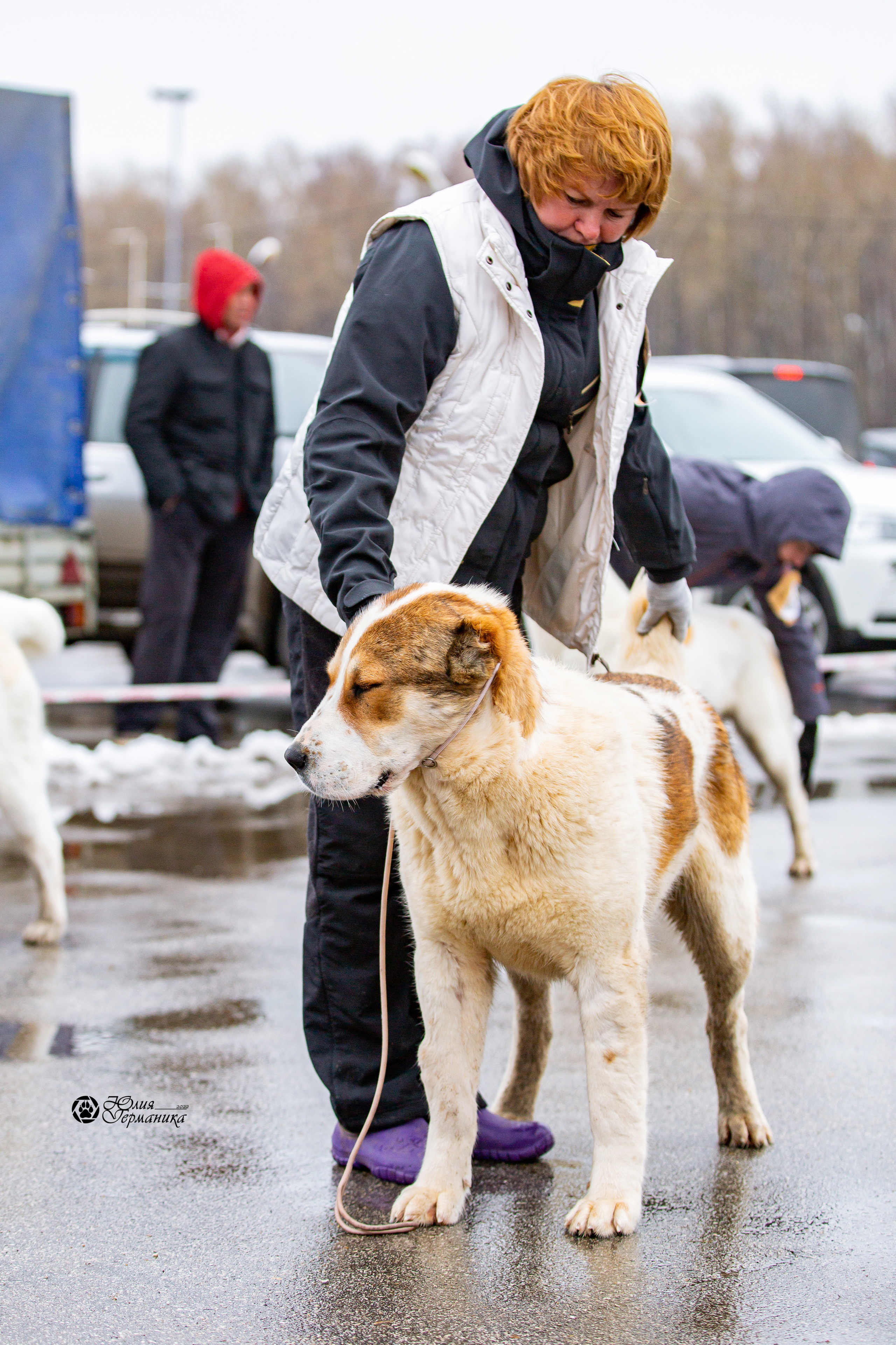 2хМОНО САО Рязань 02 апреля 2022. Фотограф-анималист Юлия Германика