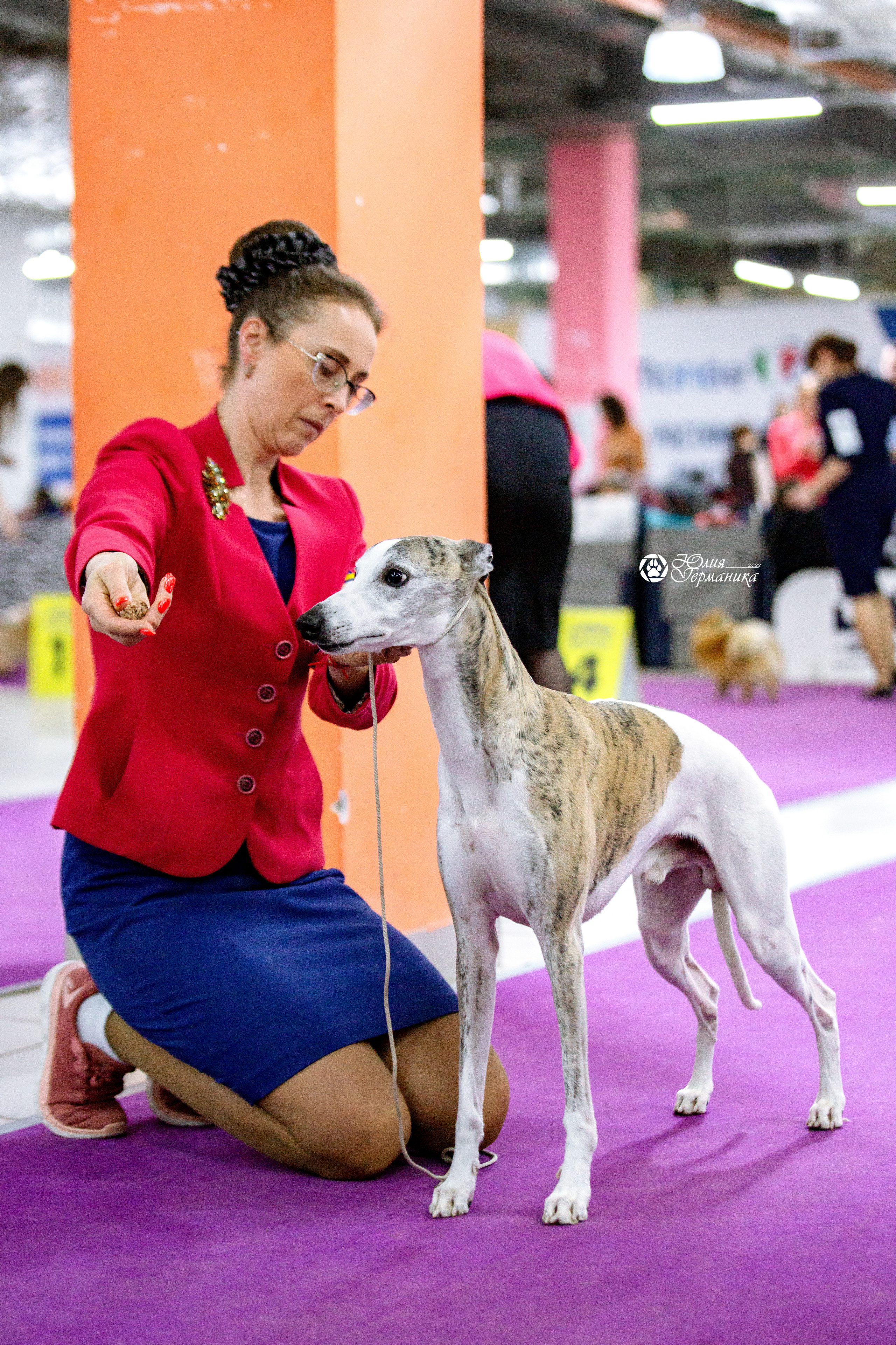 Чайна-Таун 13 и 20 марта 2022. Фотограф-анималист Юлия Германика