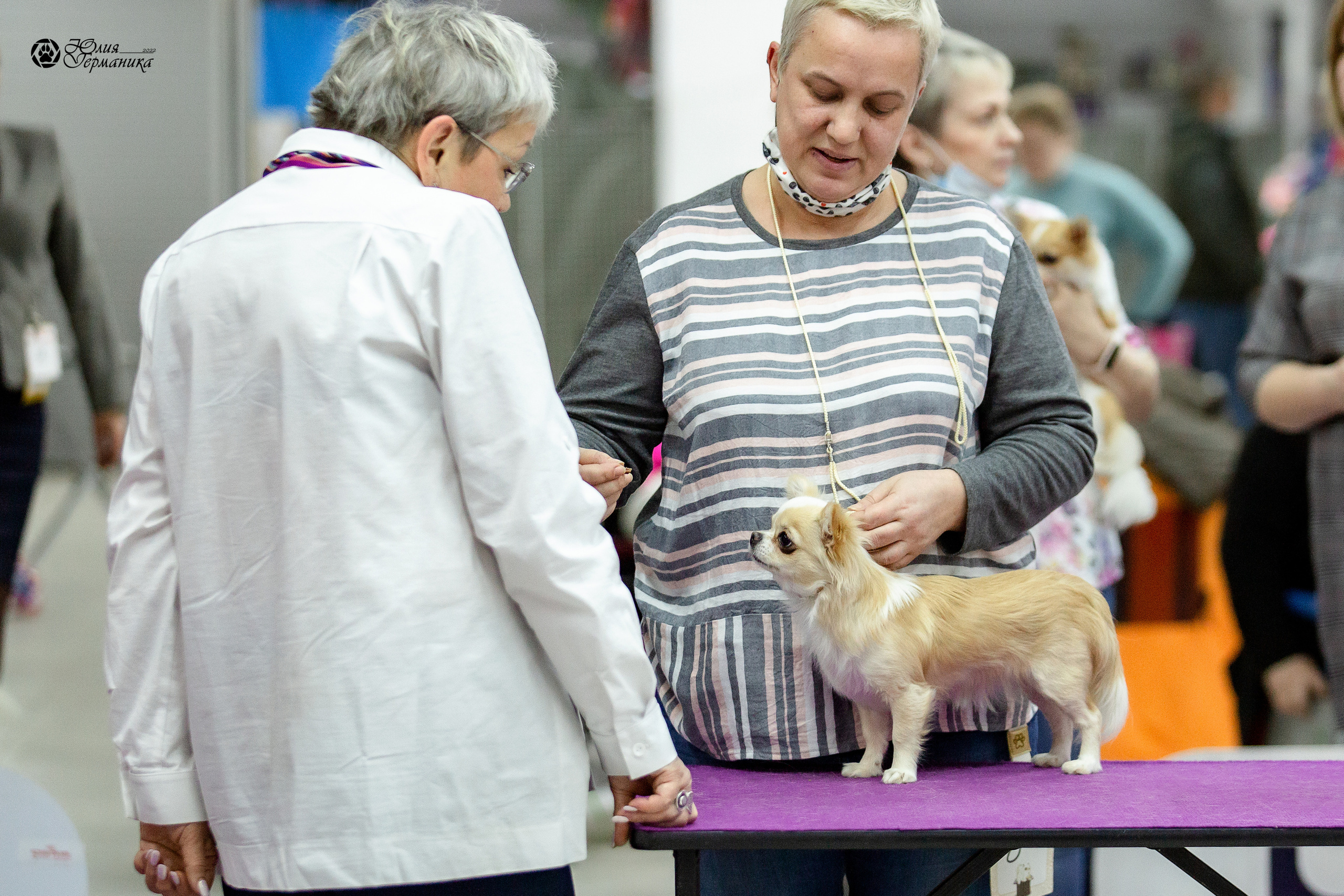 Чайна-Таун 29-30 января 2022. Фотограф-анималист Юлия Германика