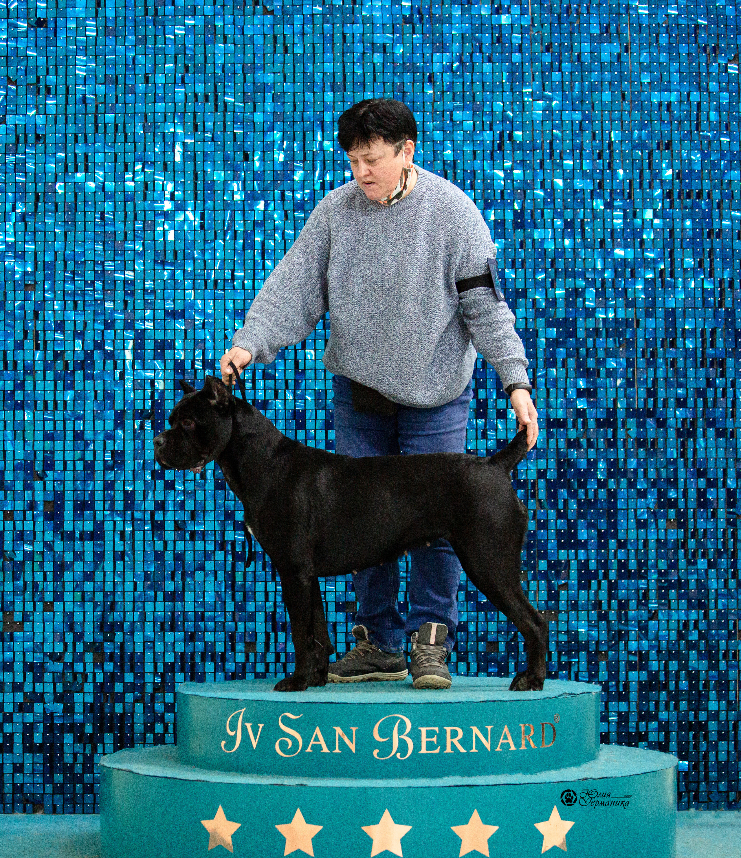 Чайна-Таун 29-30 января 2022. Фотограф-анималист Юлия Германика