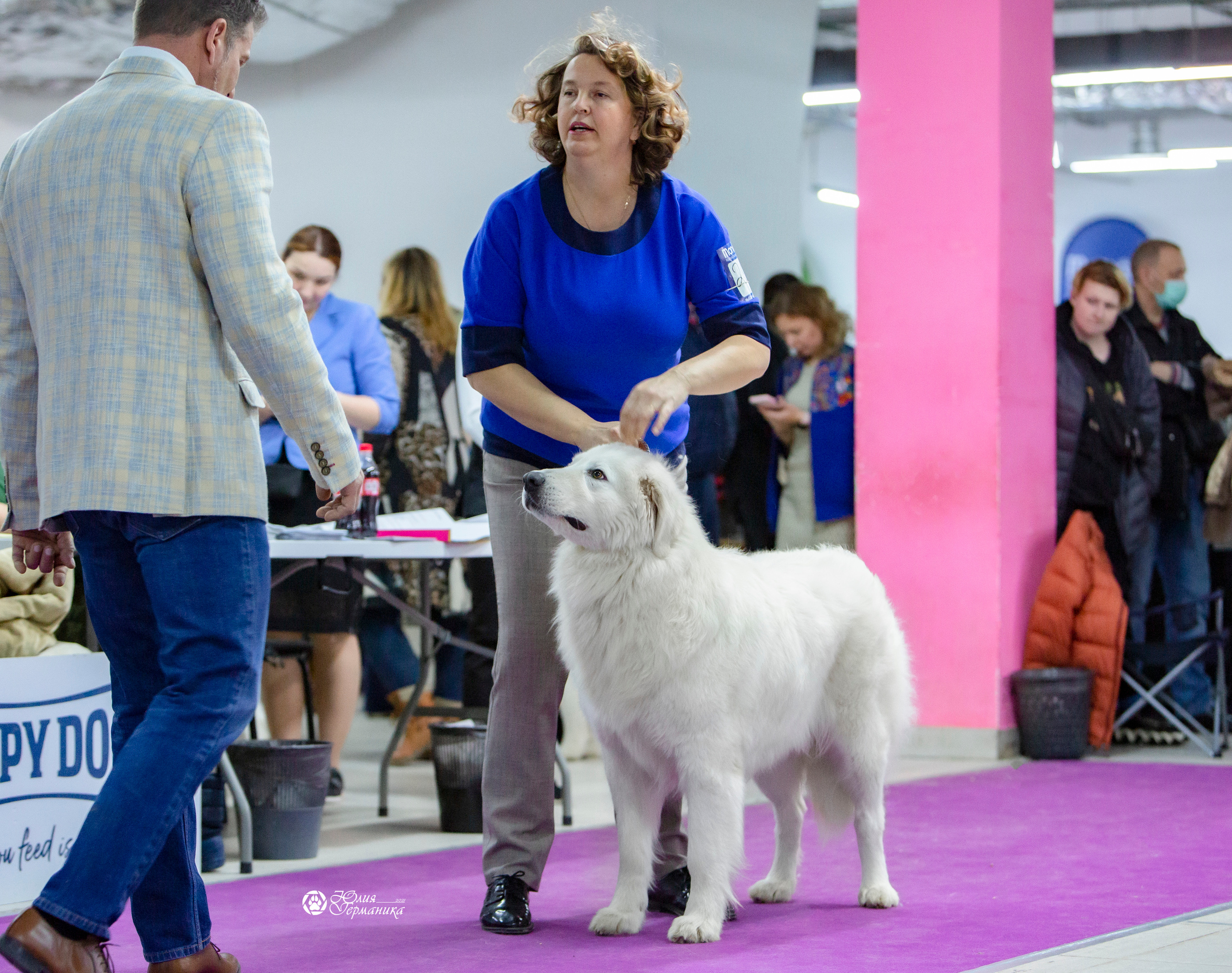 Чайна-Таун 18,26 и 29 декабря 2021. Фотограф-анималист Юлия Германика