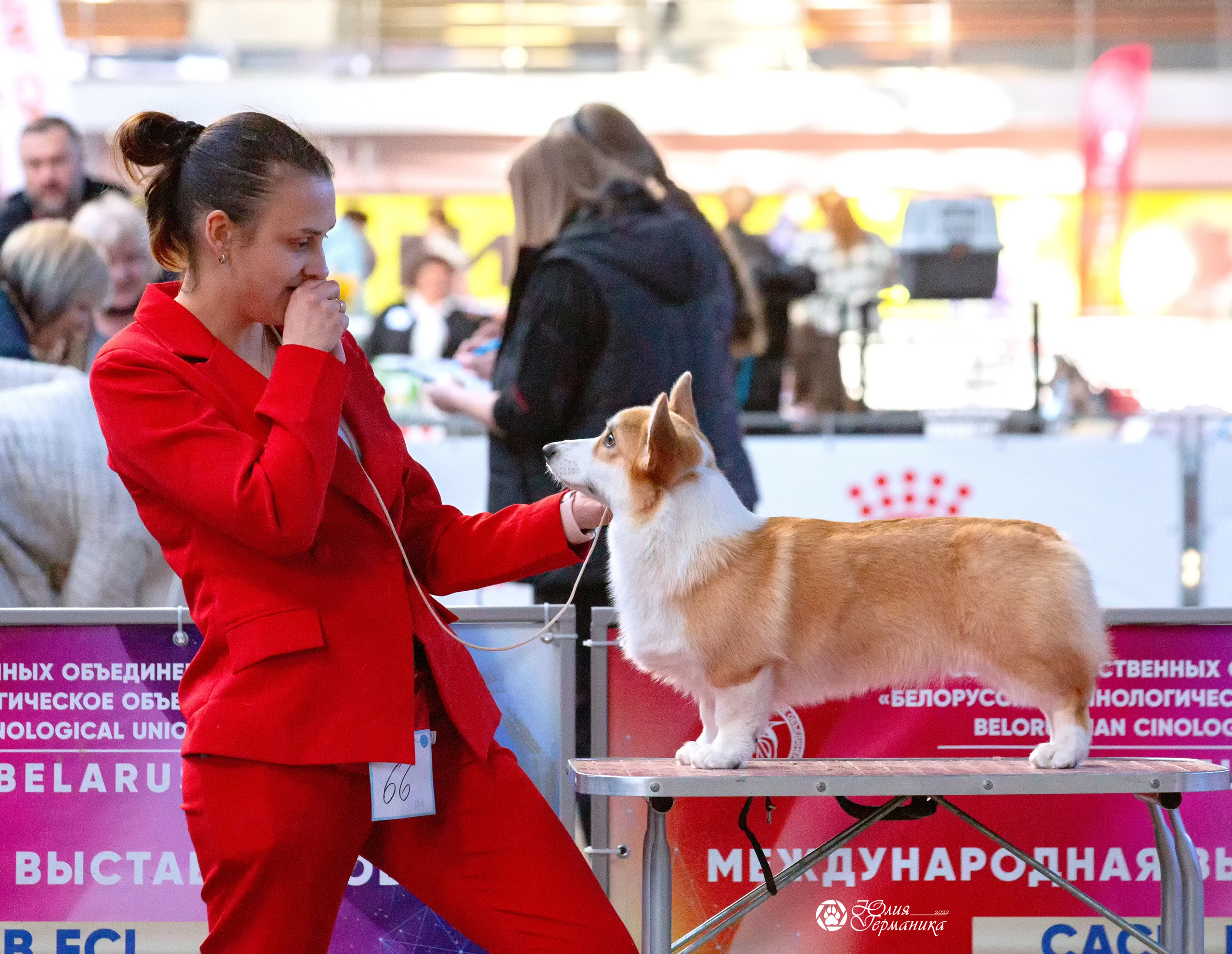 Минск 2хCACIB 5-6 марта 2022. Фотограф-анималист Юлия Германика