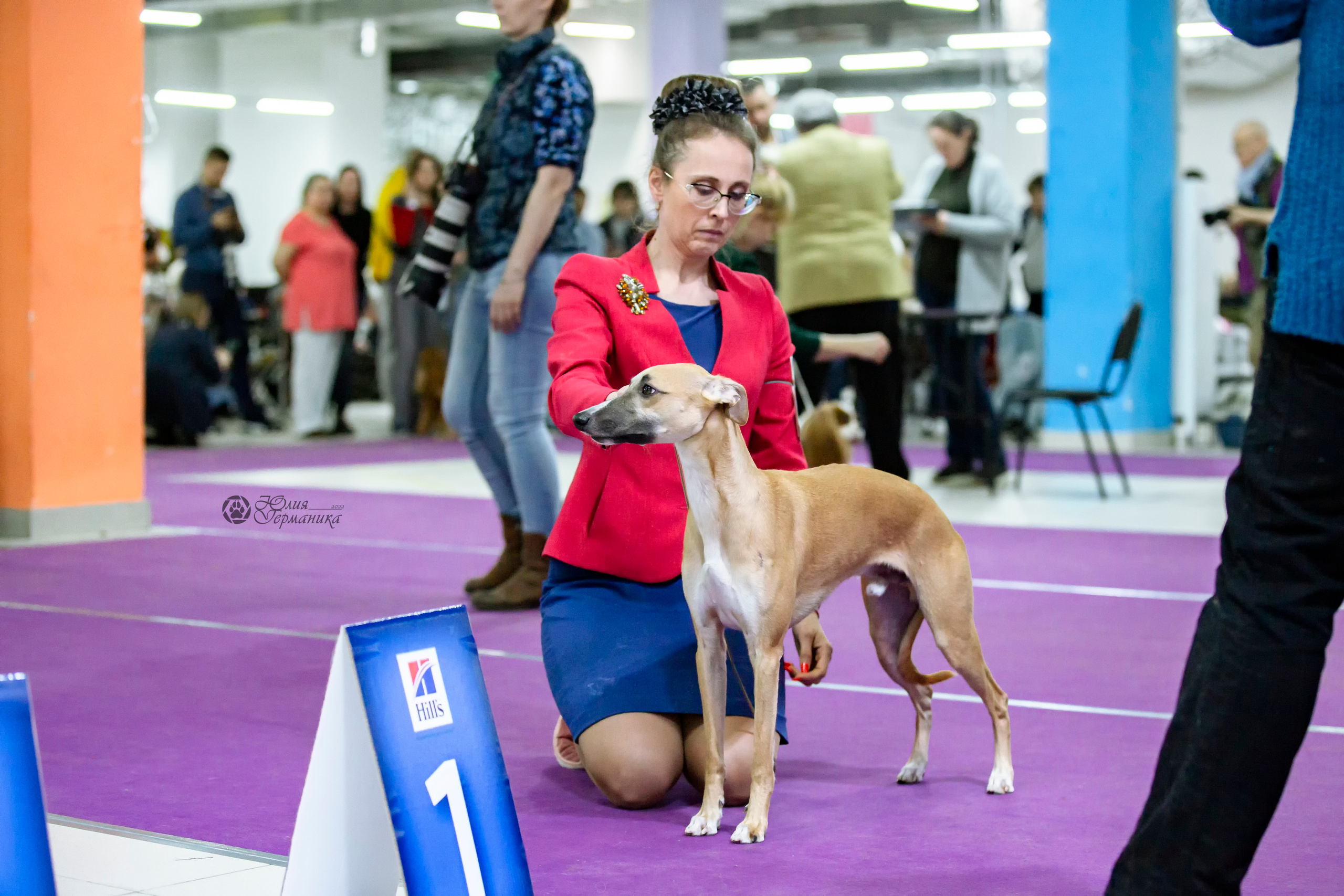 Чайна-Таун 24 и 27 марта 2022. Фотограф-анималист Юлия Германика
