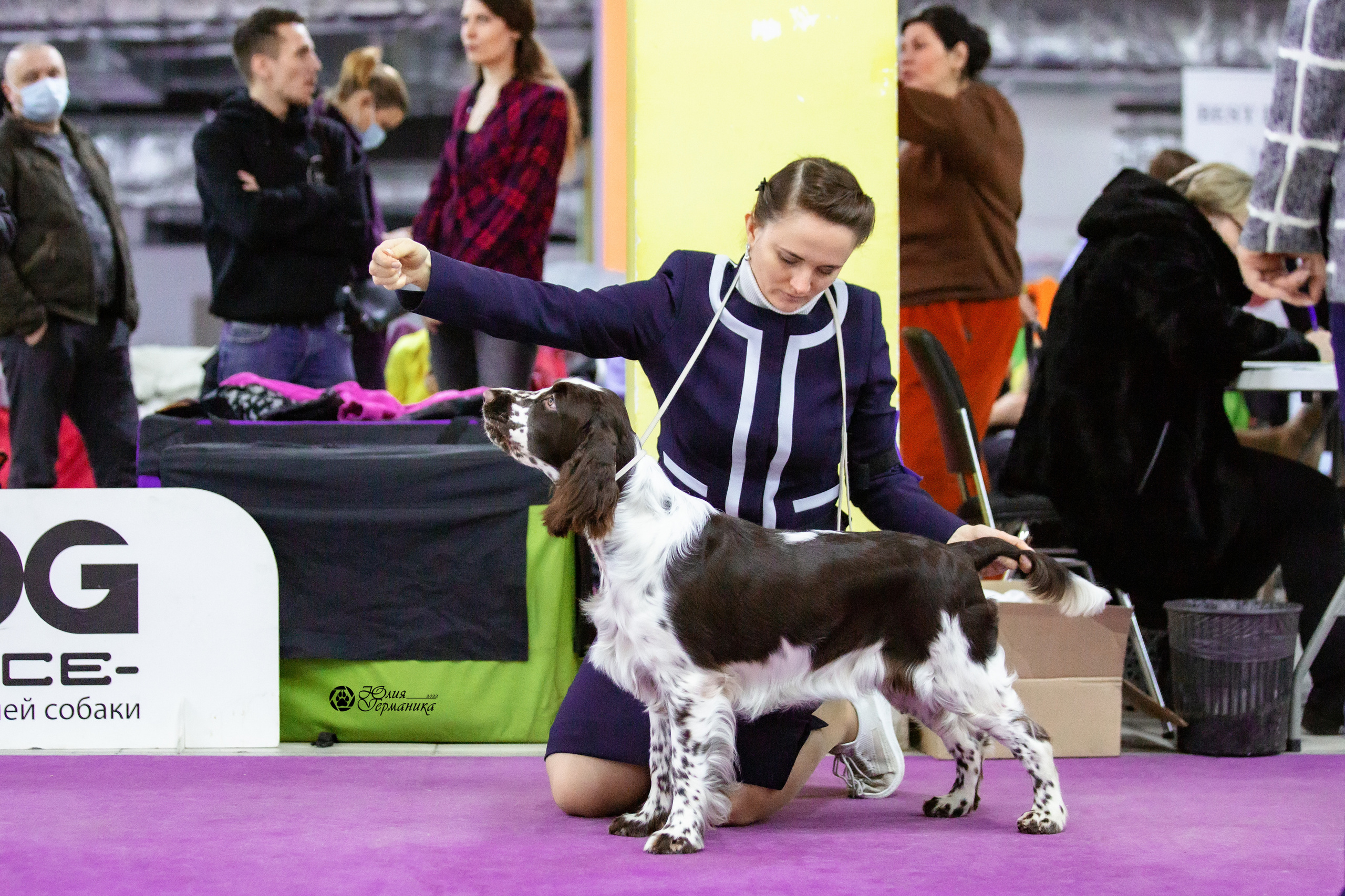 Чайна-Таун 23 февраля 2022. Фотограф-анималист Юлия Германика