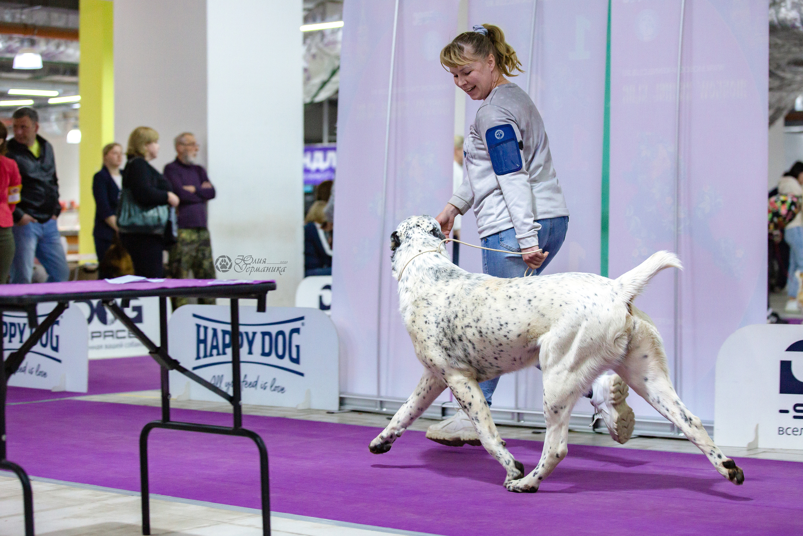 Чайна-Таун 24 и 27 марта 2022. Фотограф-анималист Юлия Германика
