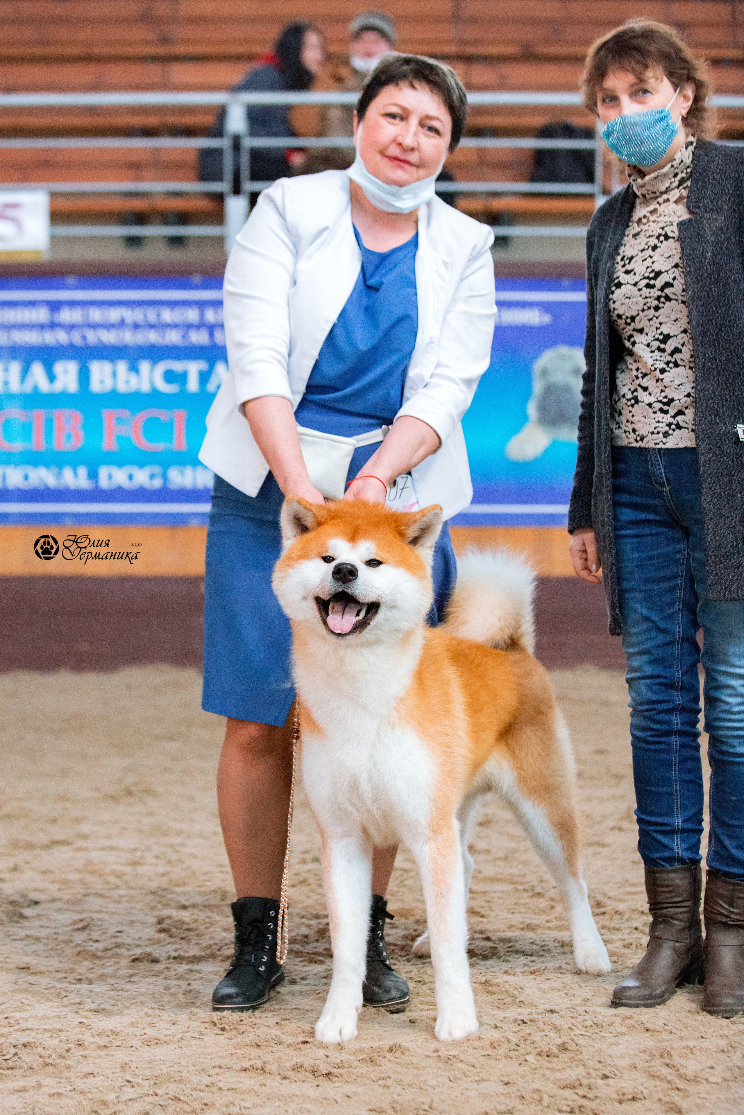 Минск 2хCACIB 5-6 марта 2022. Фотограф-анималист Юлия Германика