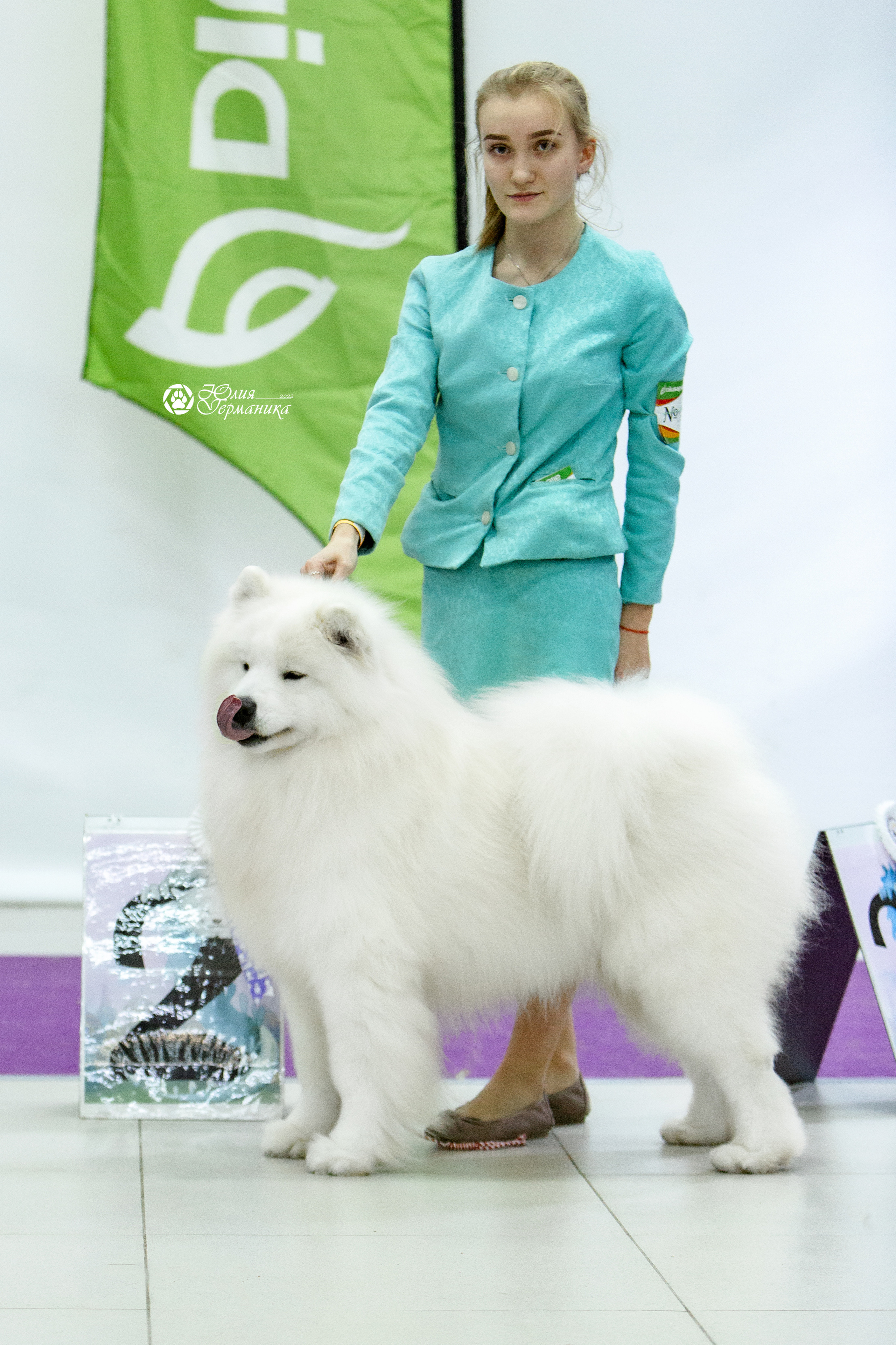 Чайна-Таун 18,26 и 29 декабря 2021. Фотограф-анималист Юлия Германика