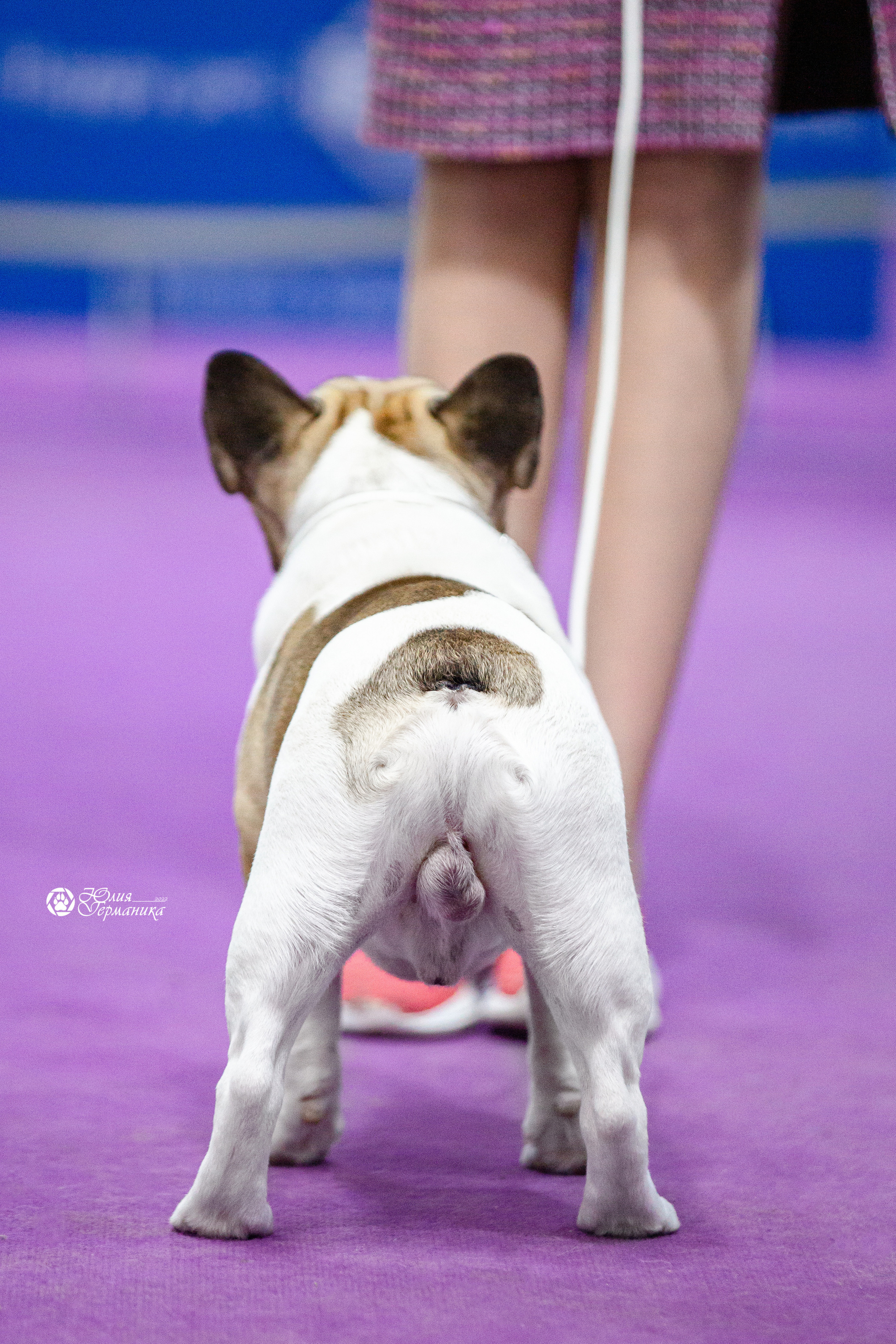 Чайна-Таун 29-30 января 2022