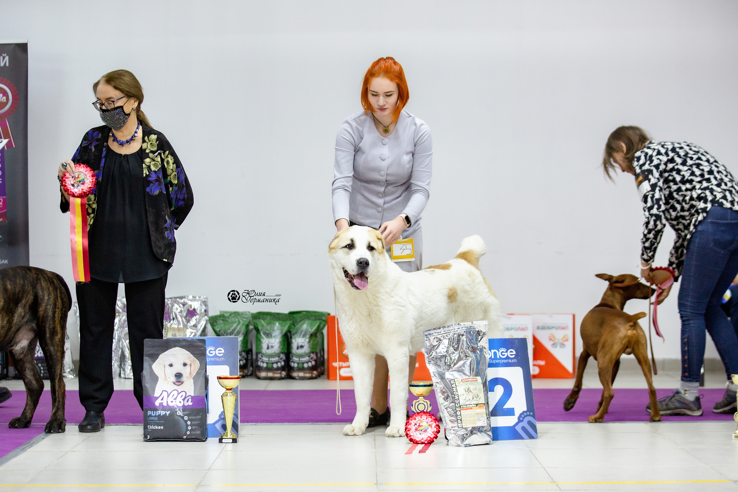 Чайна-Таун 29-30 января 2022. Фотограф-анималист Юлия Германика