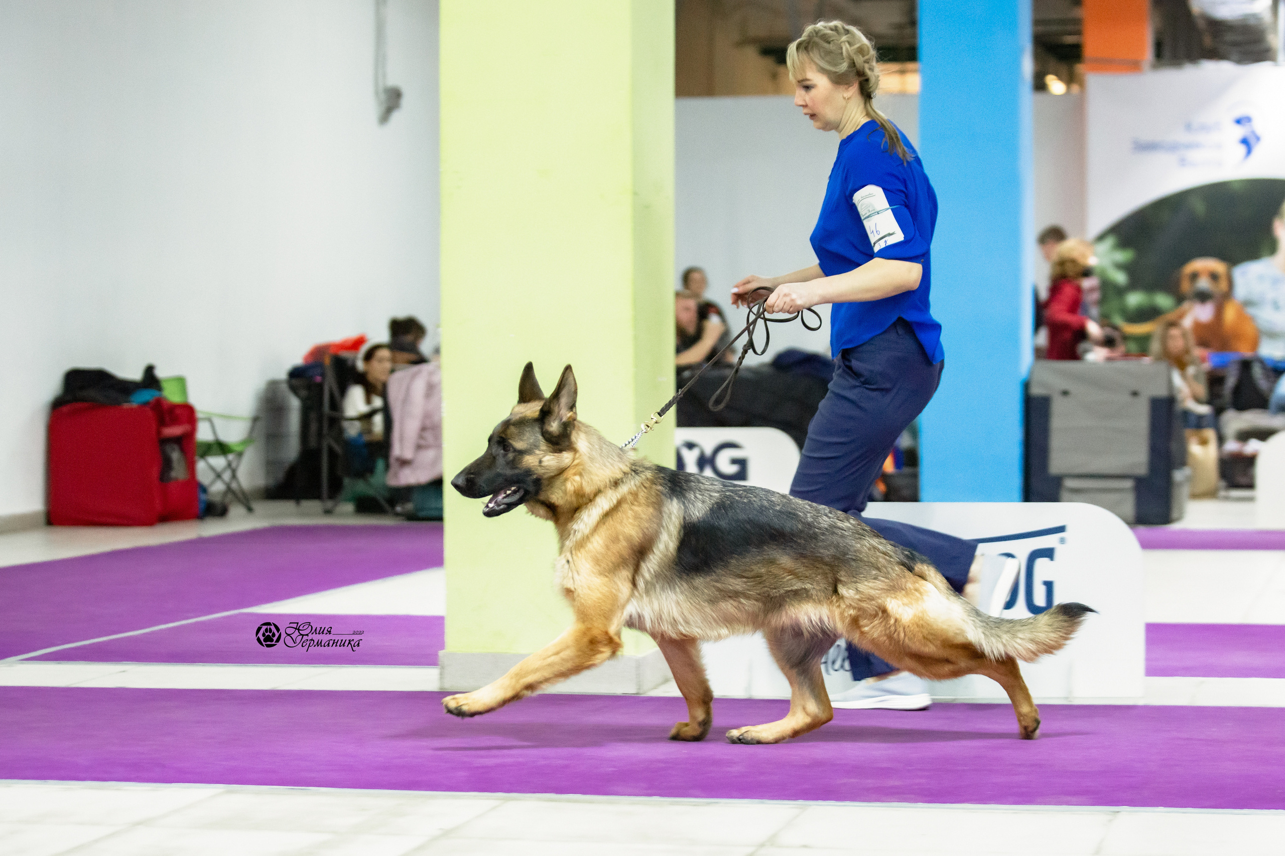 Чайна-Таун 12-13 февраля 2022. Фотограф-анималист Юлия Германика
