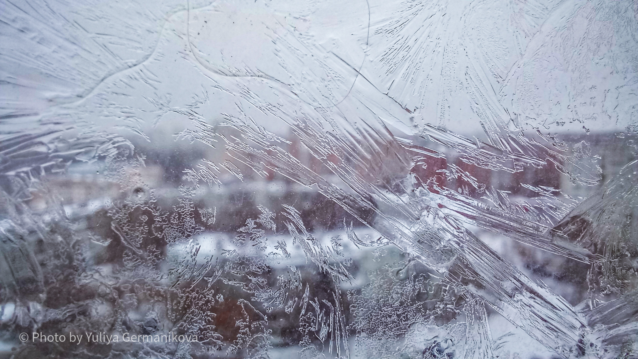 Разные фото на телефон.Города,природа. Фотограф-анималист Юлия Германика