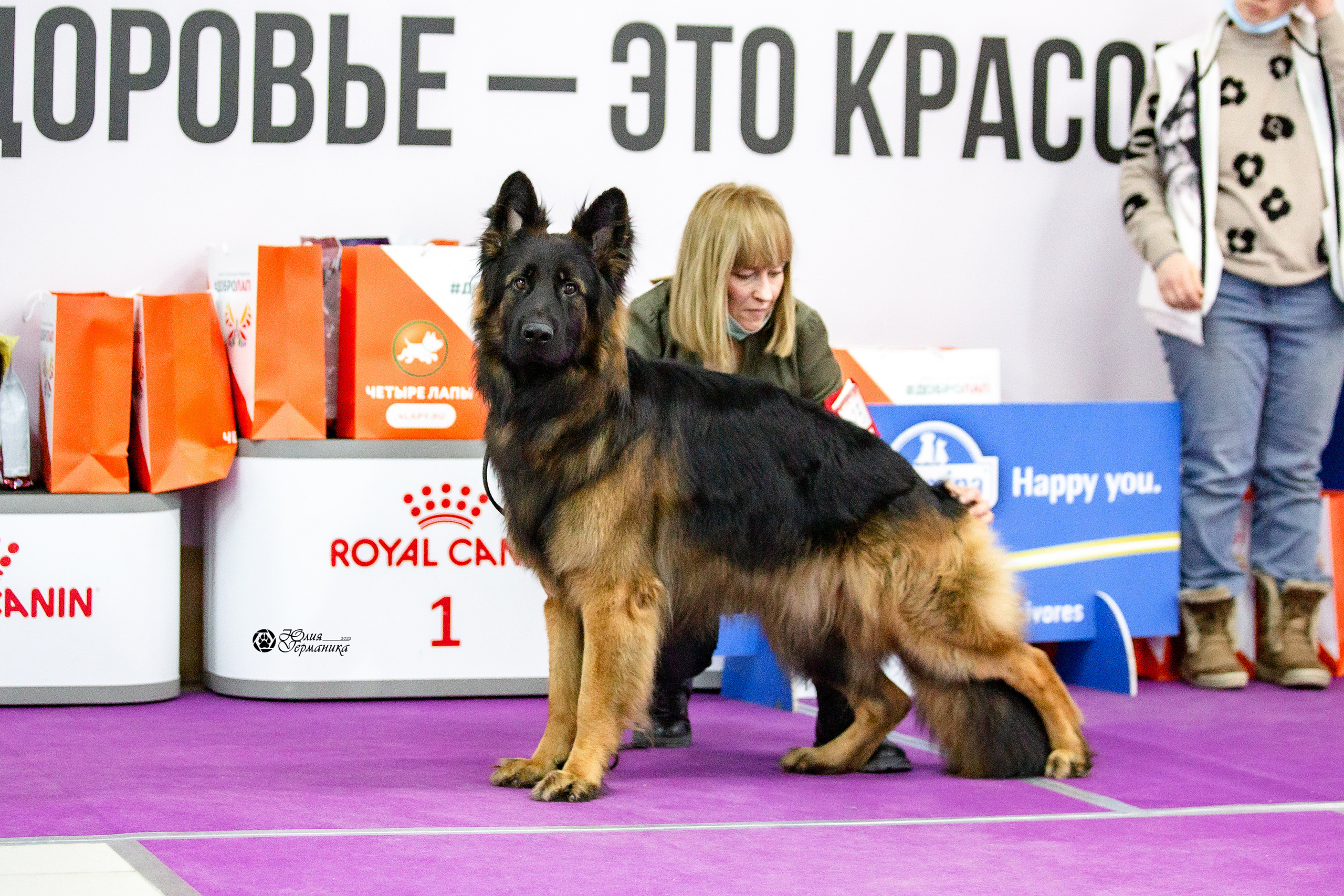 Чайна-Таун 29-30 января 2022. Фотограф-анималист Юлия Германика