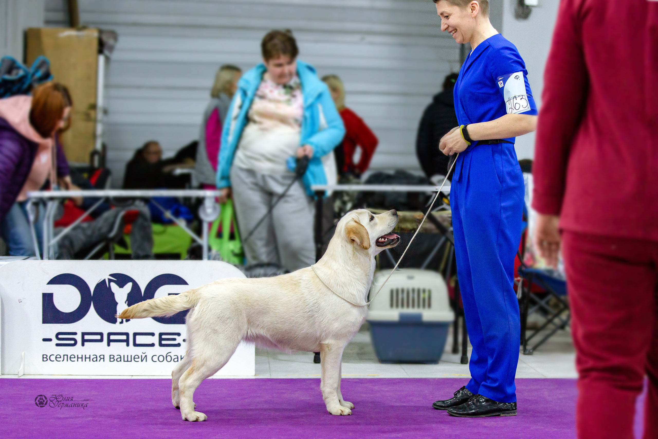 Чайна-Таун 24 и 27 марта 2022. Фотограф-анималист Юлия Германика