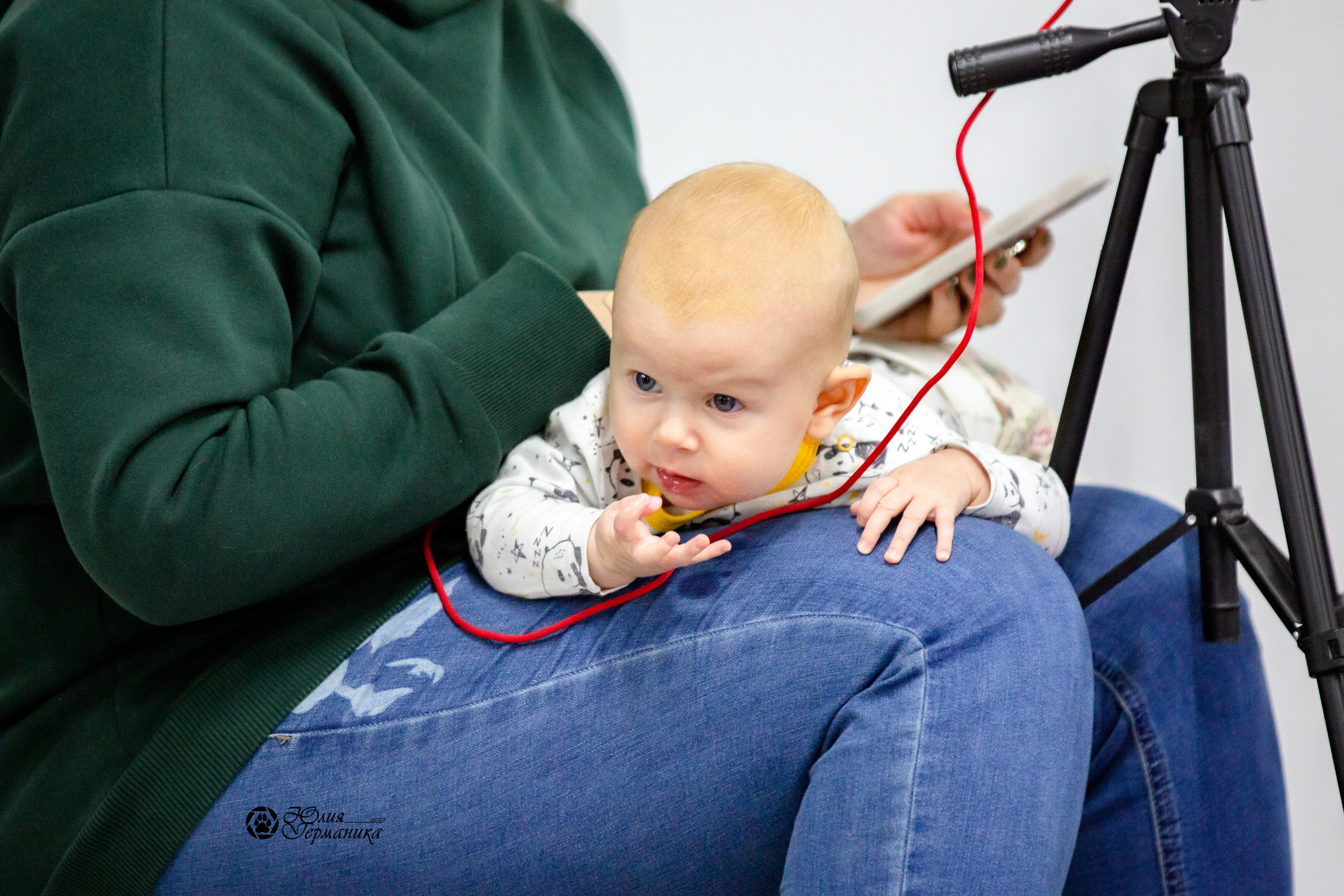 Чайна-Таун 27 февраля 2022. Фотограф-анималист Юлия Германика