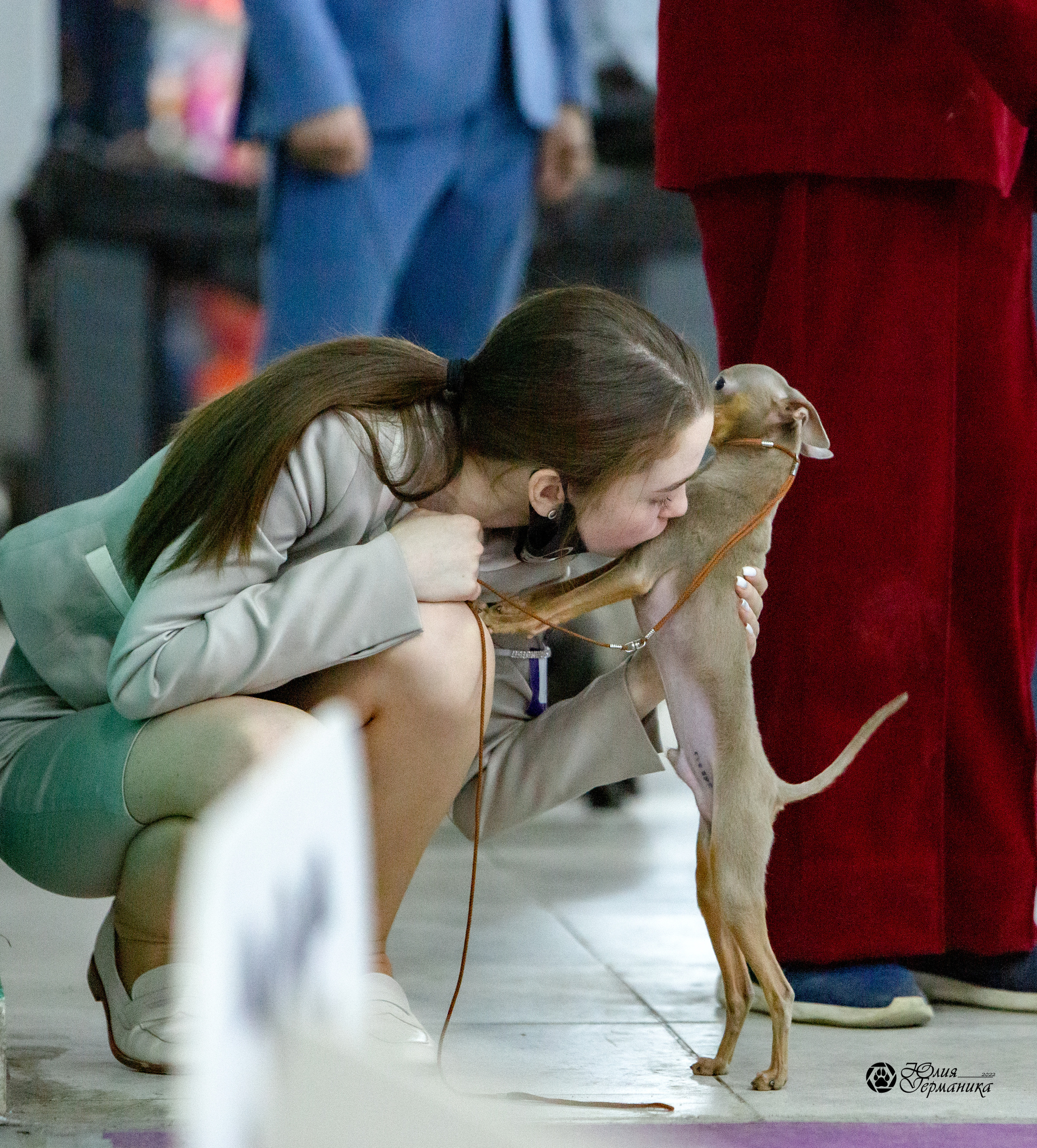 Чайна-Таун 8 января 2022. Фотограф-анималист Юлия Германика