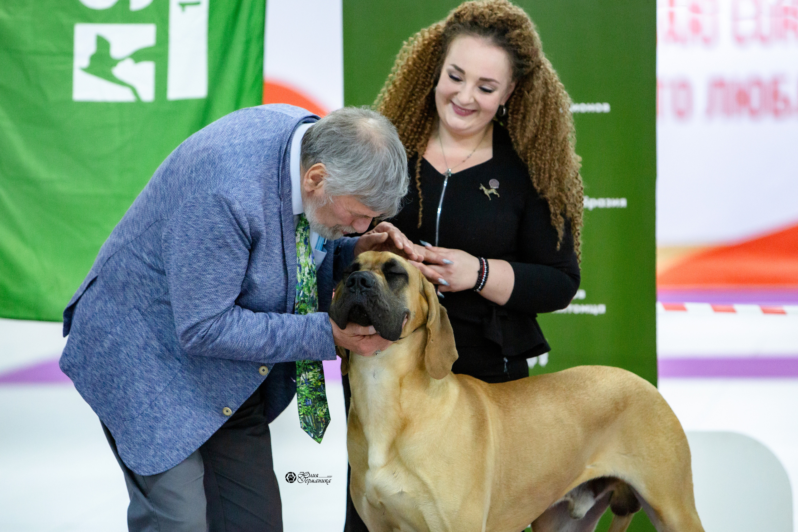 Чайна-Таун 29-30 января 2022. Фотограф-анималист Юлия Германика